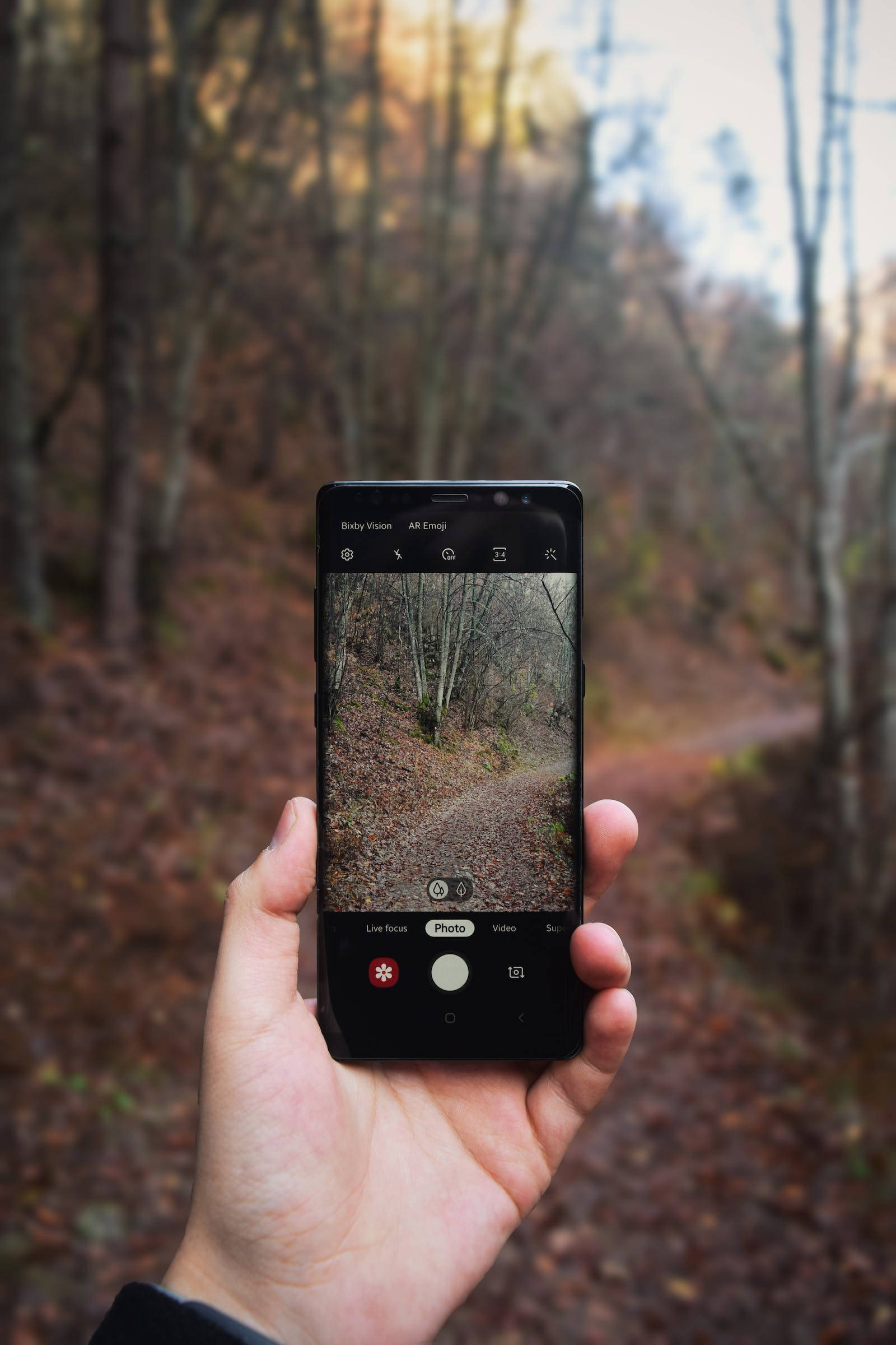 Autumn Phone, smartphone, forest path, Full HD Phone Wallpaper