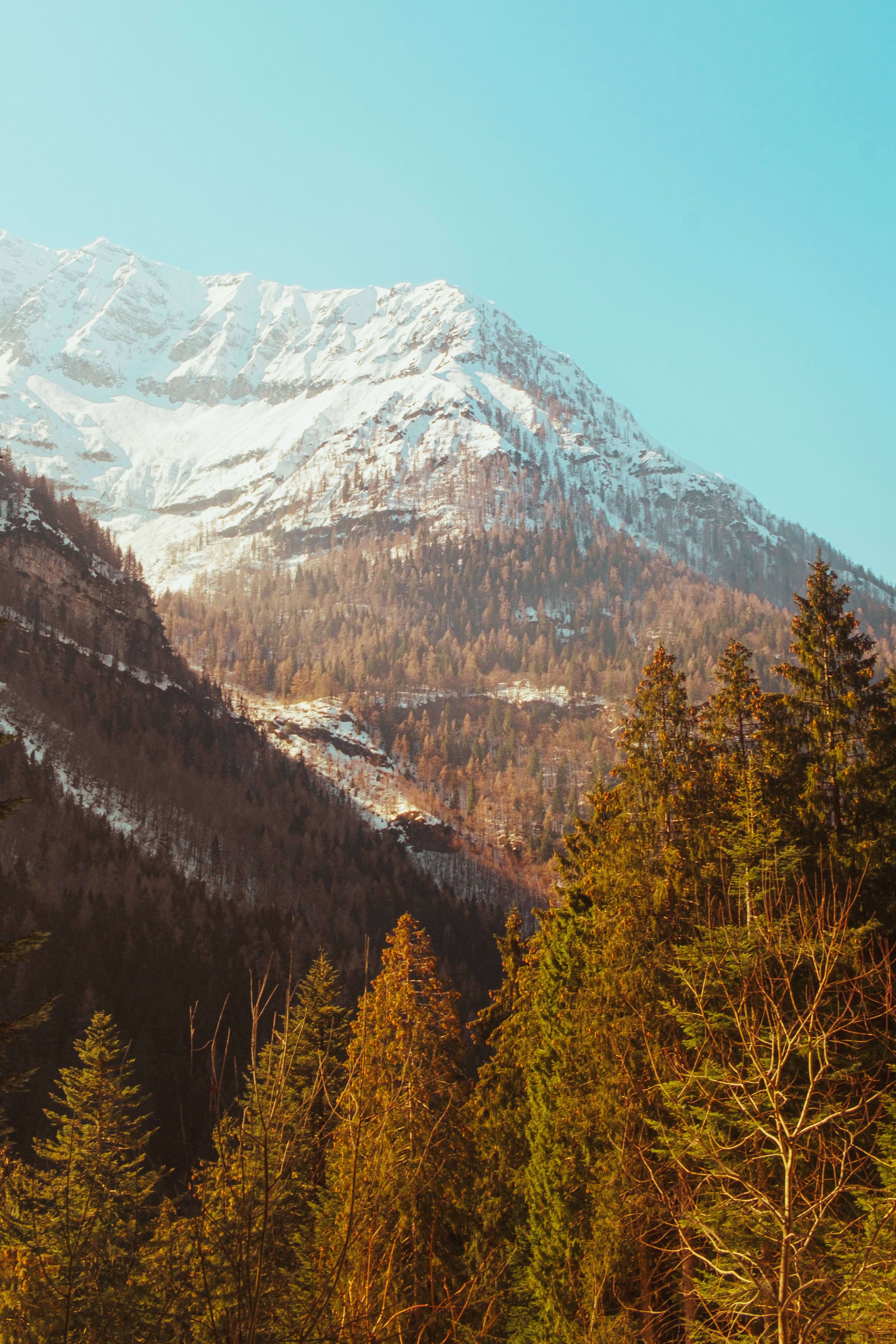 Autumn Phone Mountain, snow capped mountain peak, forested slopes, 5K Phone Wallpaper