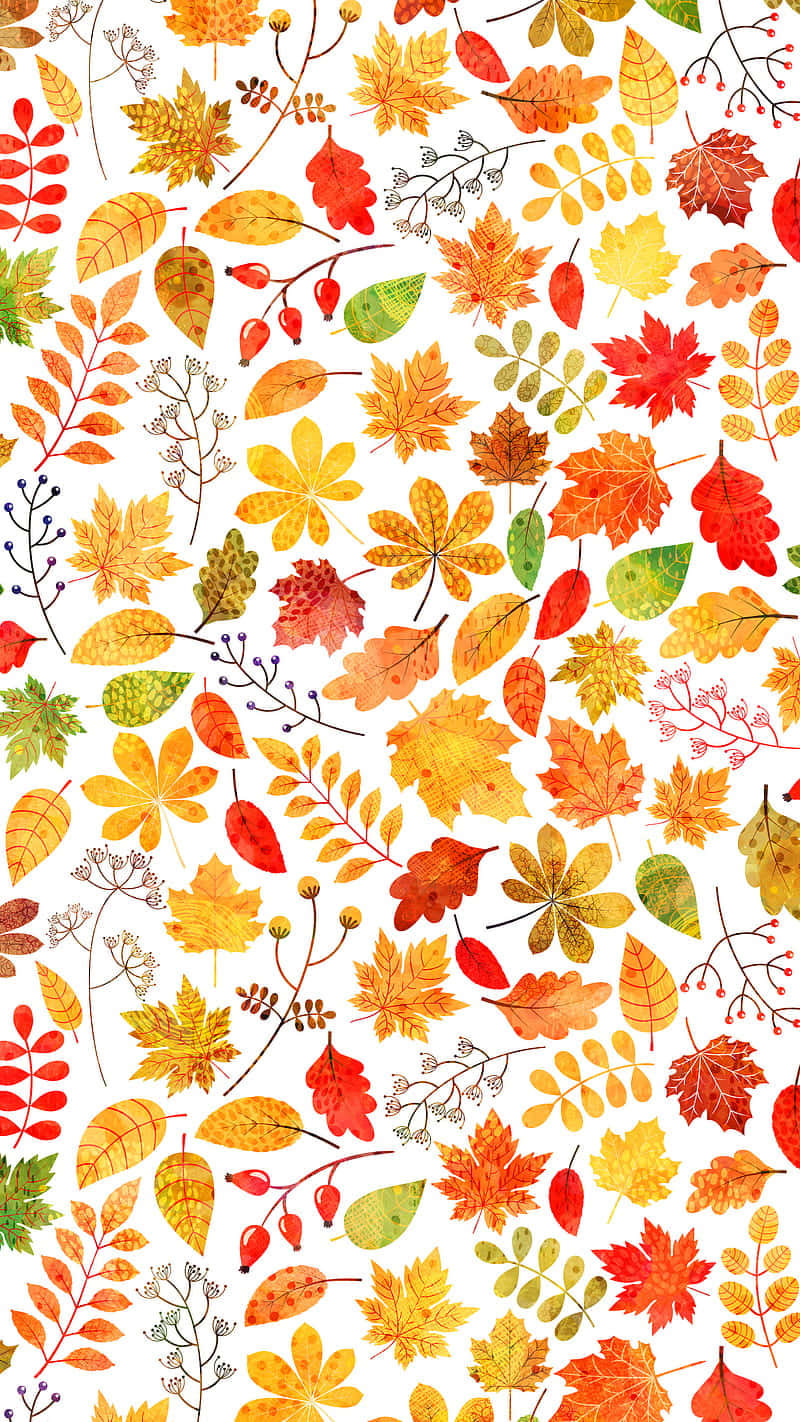autumn leaves, phone screen, red, HD Phone Wallpaper
