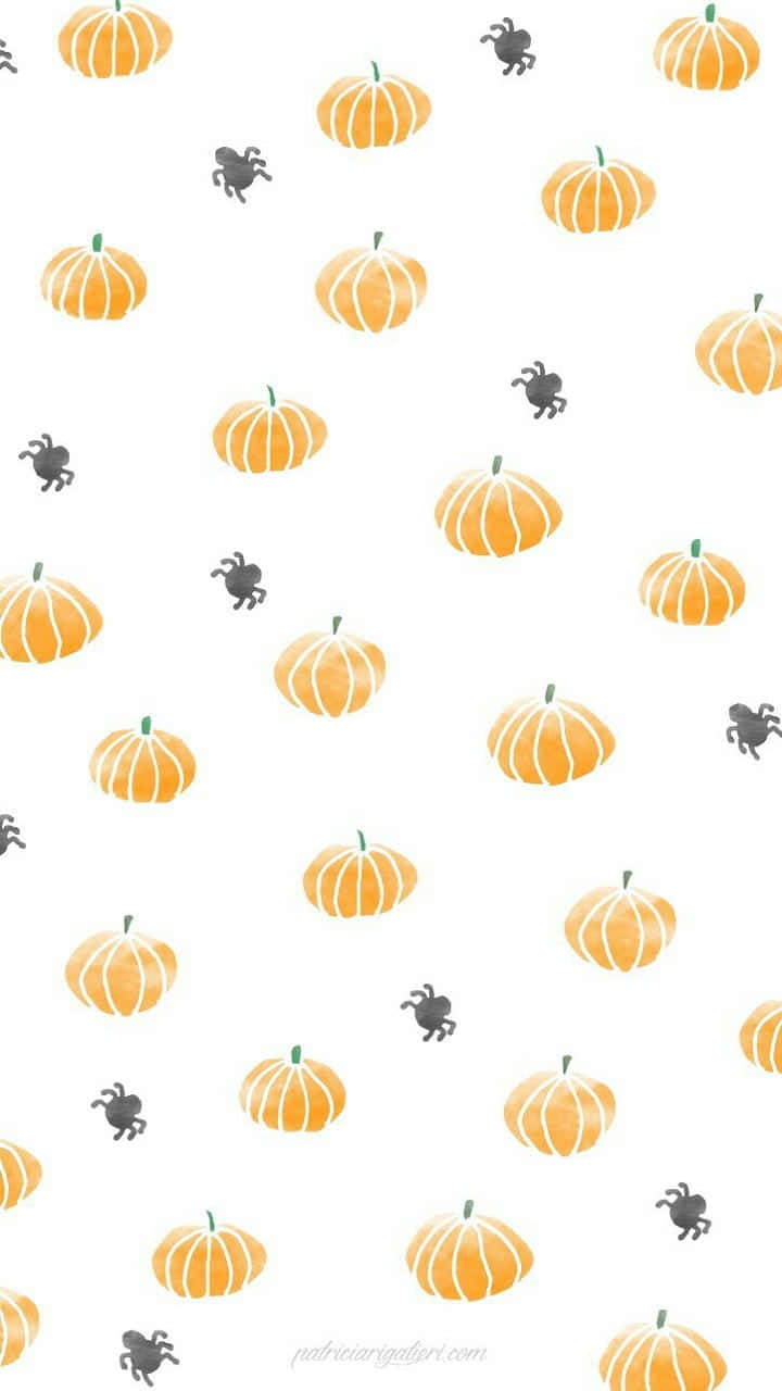 Cute Pumpkin iPhone Basic, orange pumpkins, black spiders, HD Phone Wallpaper