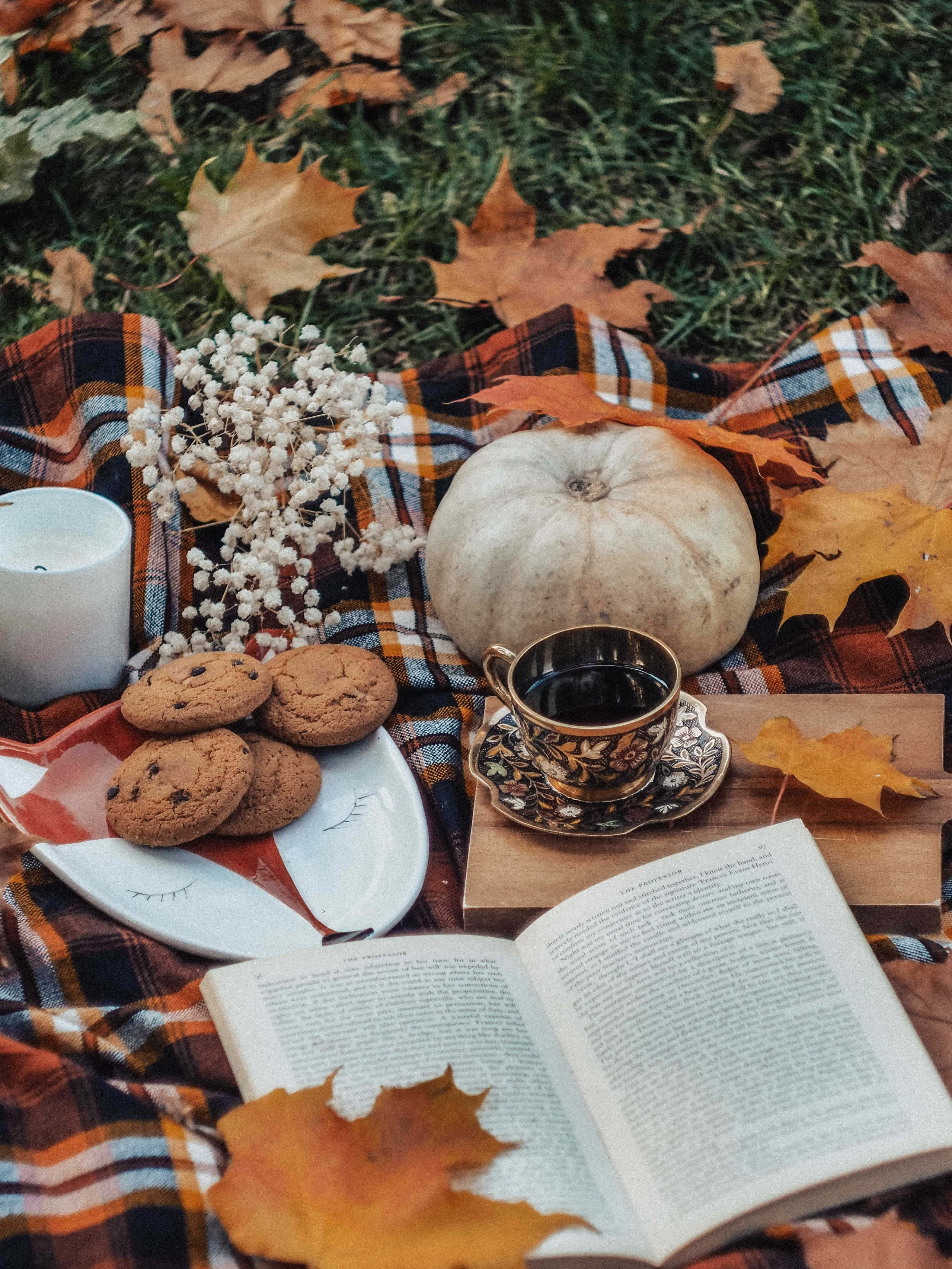 autumn reading pumpkin, plaid blanket, pumpkin tea, 4K Phone Wallpaper