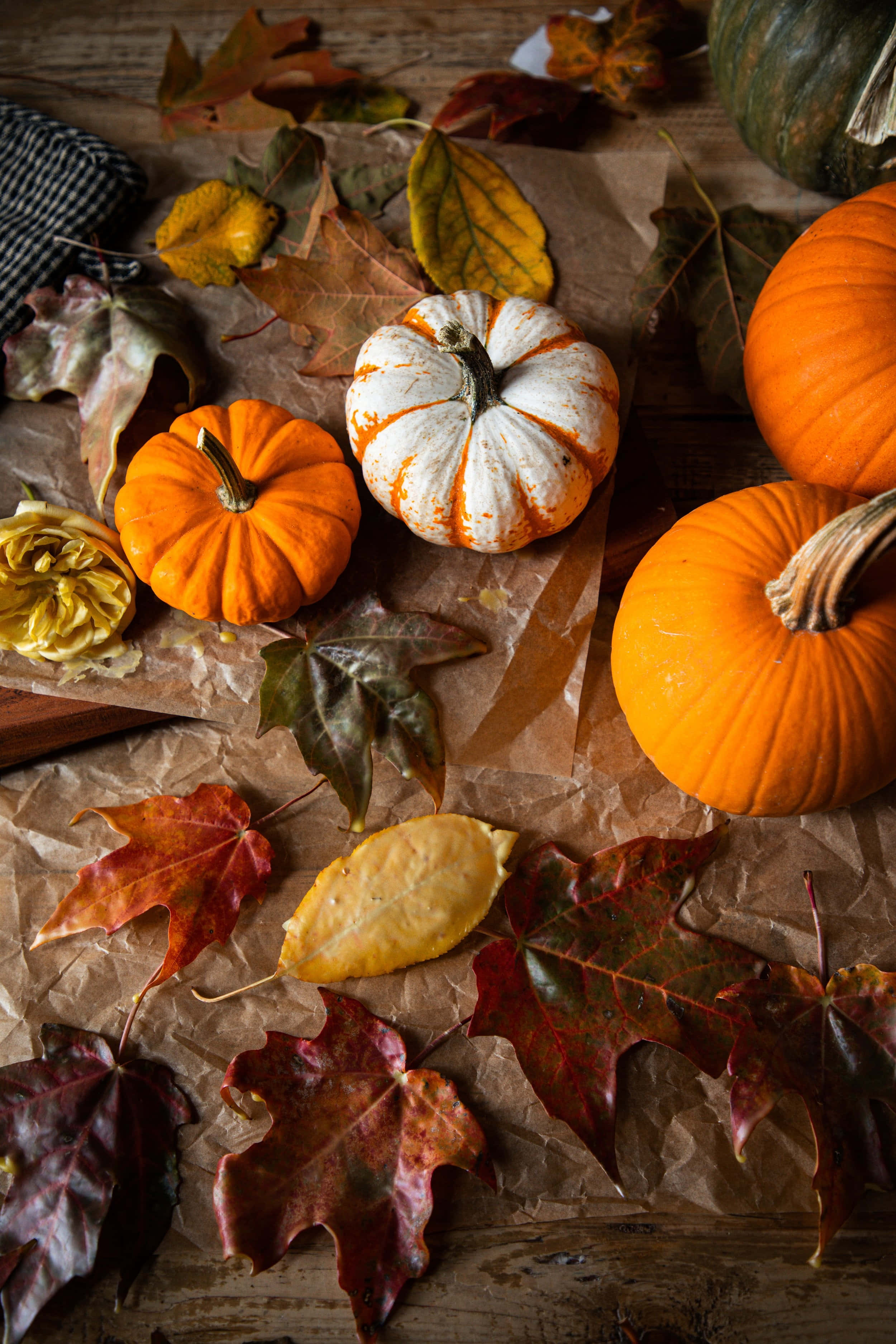 Autumn Pumpkins, Fallen Leaves, Crumpled Brown Paper, 2K Phone Wallpaper