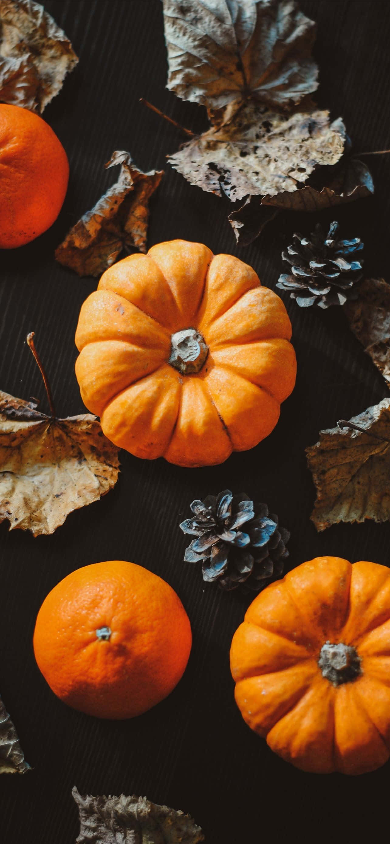 Autumn, pumpkins, dried leaves, 2K Phone Wallpaper