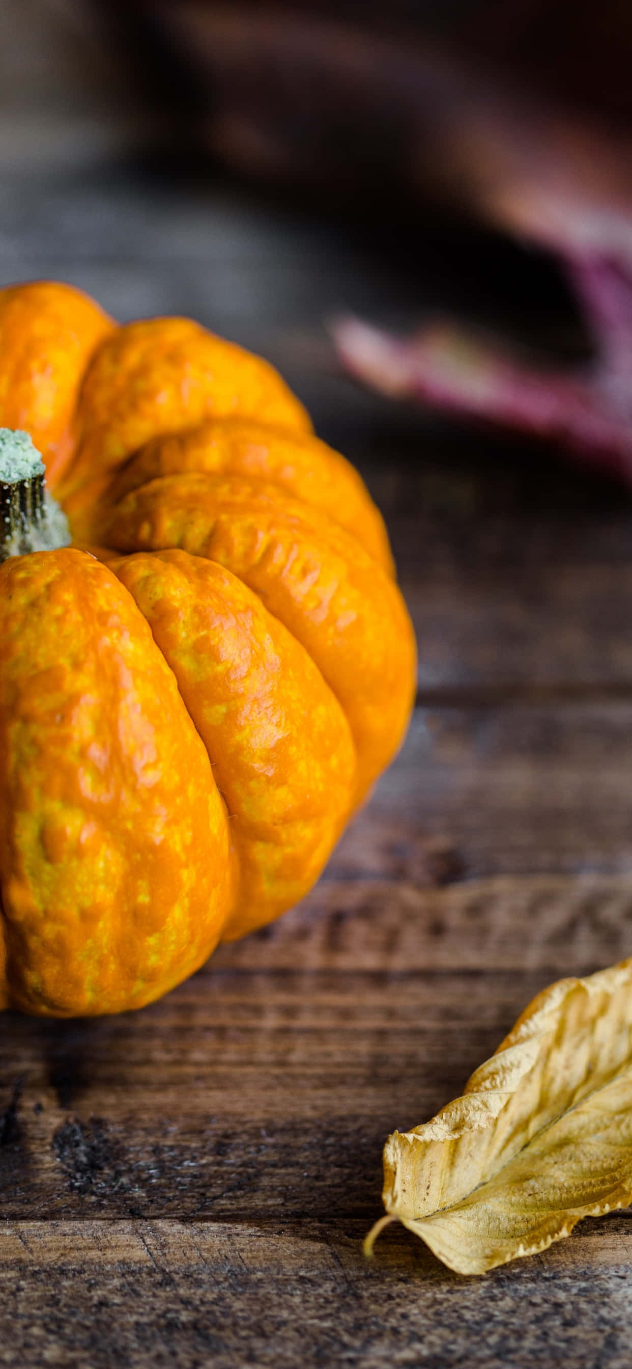 Autumn Pumpkin, vibrant orange, textured ridges, 2K Phone Wallpaper