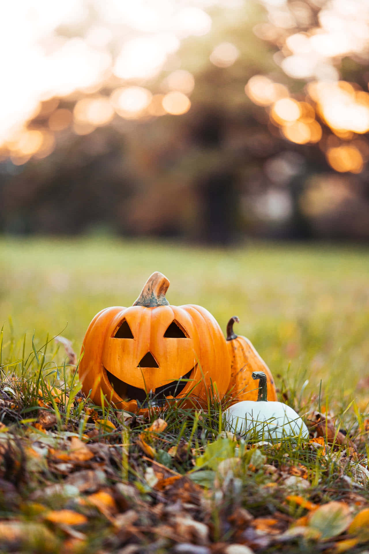 Autumn Pumpkin Glow, carved orange jack-o'-lantern, smiling face, Full HD Phone Wallpaper