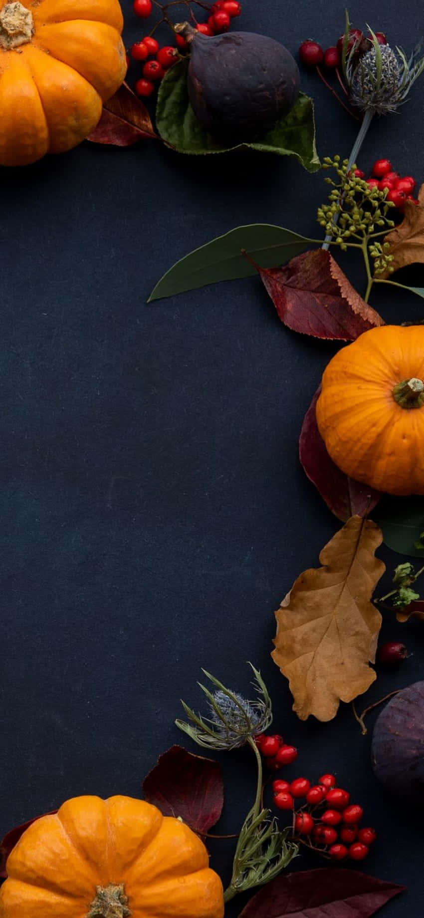 Autumn Pumpkin, vibrant orange pumpkins, red berries, HD Phone Wallpaper