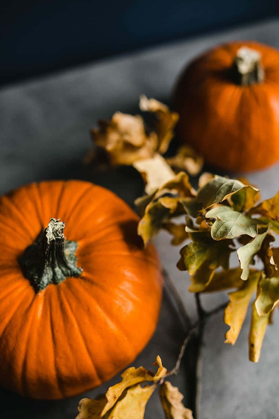 Autumn Pumpkinsand Dried Leaves, vibrant orange pumpkins, autumn leaves, HD Phone Wallpaper