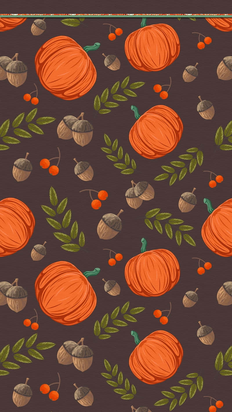 Autumn Pumpkin, orange pumpkins, acorns, HD Phone Wallpaper