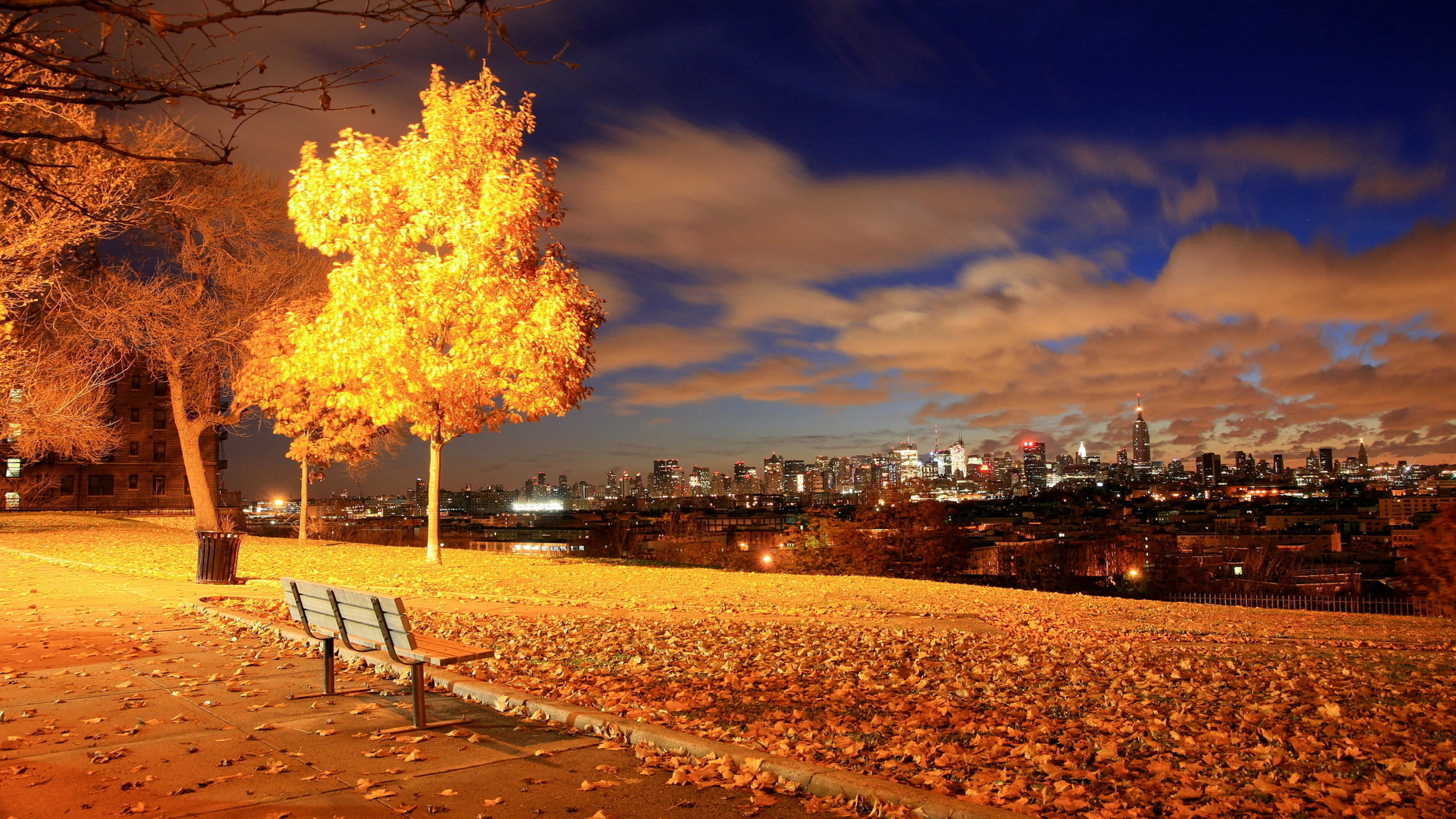 High Resolution Fall City Lake At Night, golden tree, autumn, 4K Desktop Wallpaper