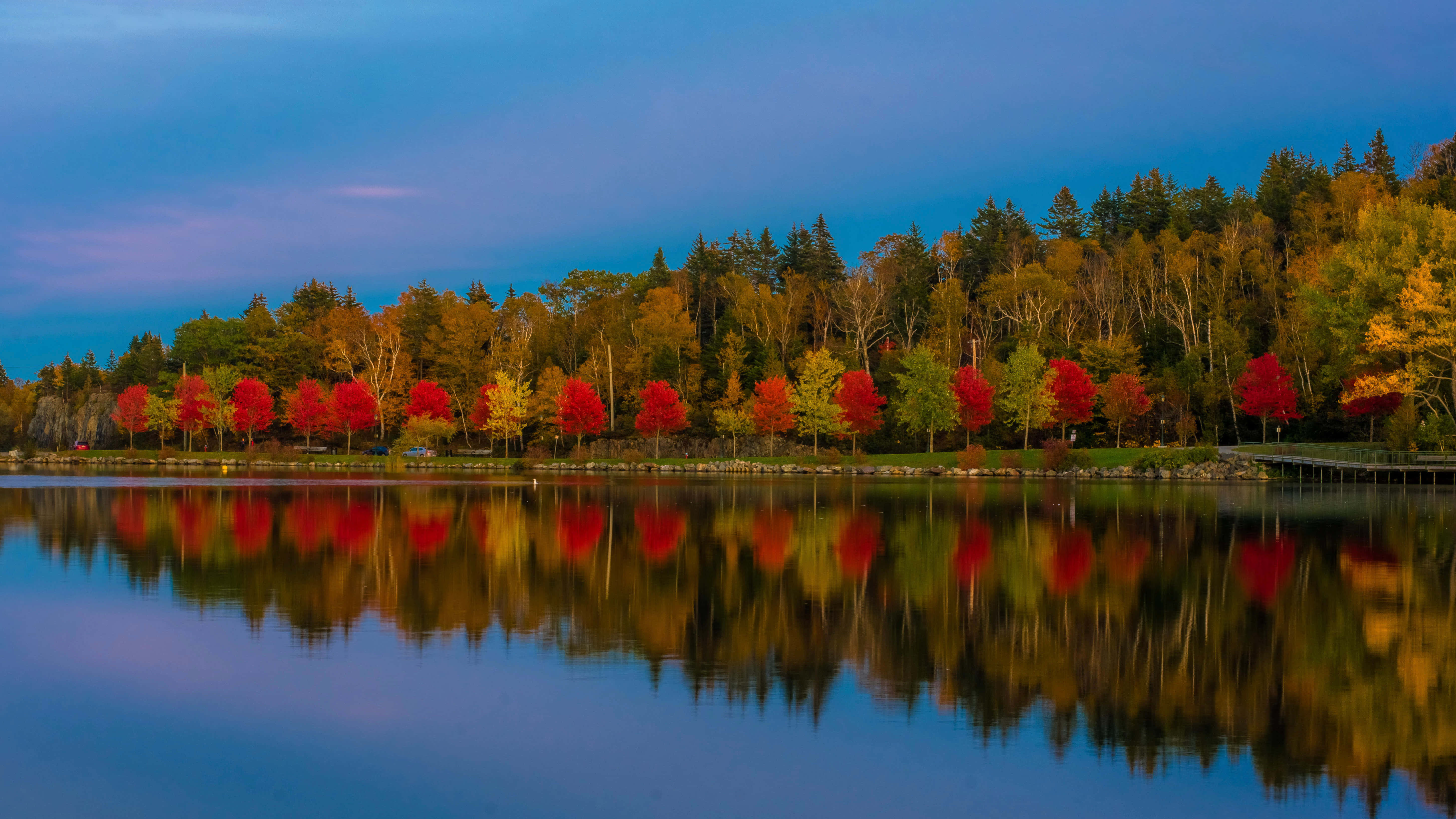 Forest Reflection, Teams Background, lake, 5K Desktop Wallpaper