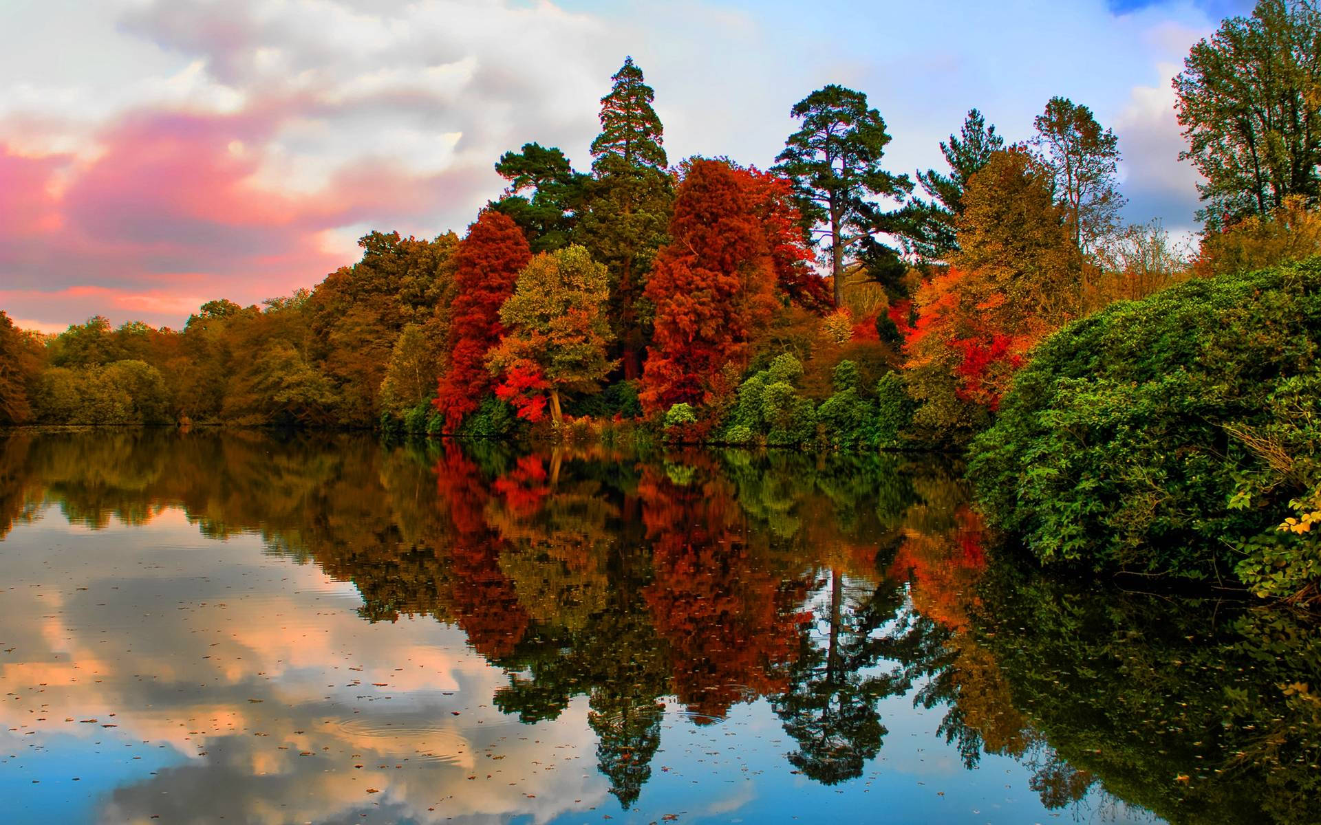 Autumn Season, firey red and gold trees, soft pink and blue sunset sky, Full HD Desktop Wallpaper