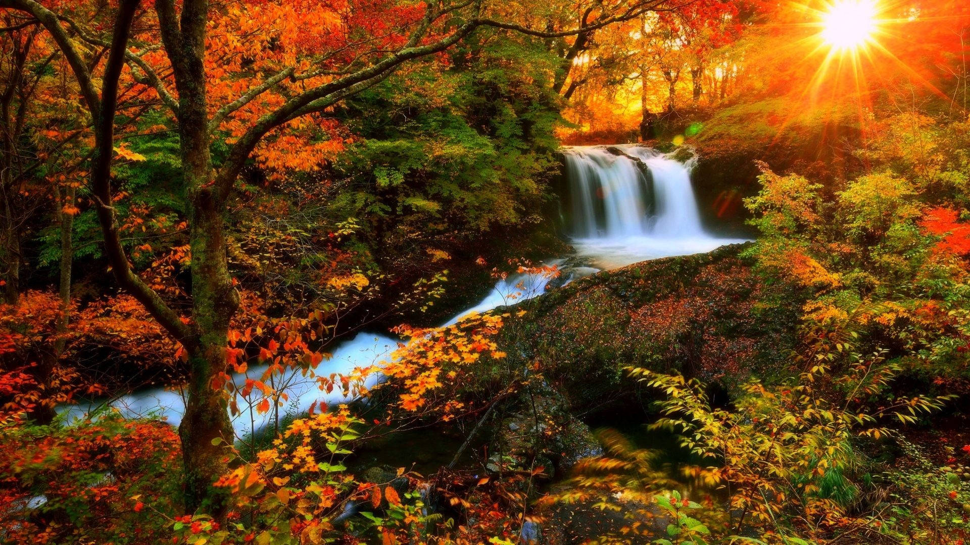 Autumn Season Stream, autumn waterfall, forest, Full HD Desktop Wallpaper