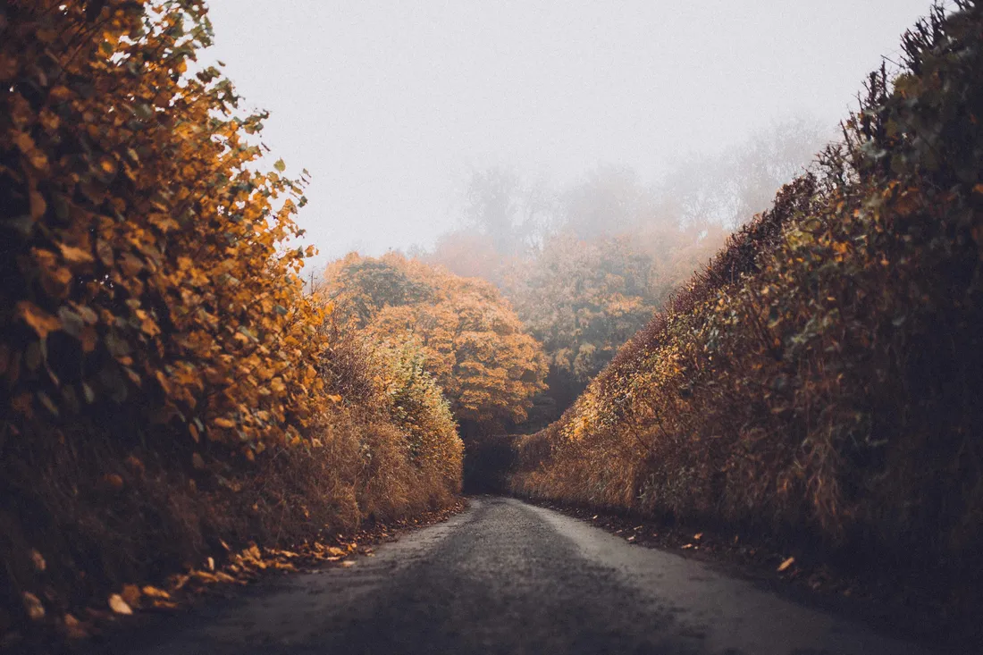Autumn Street
