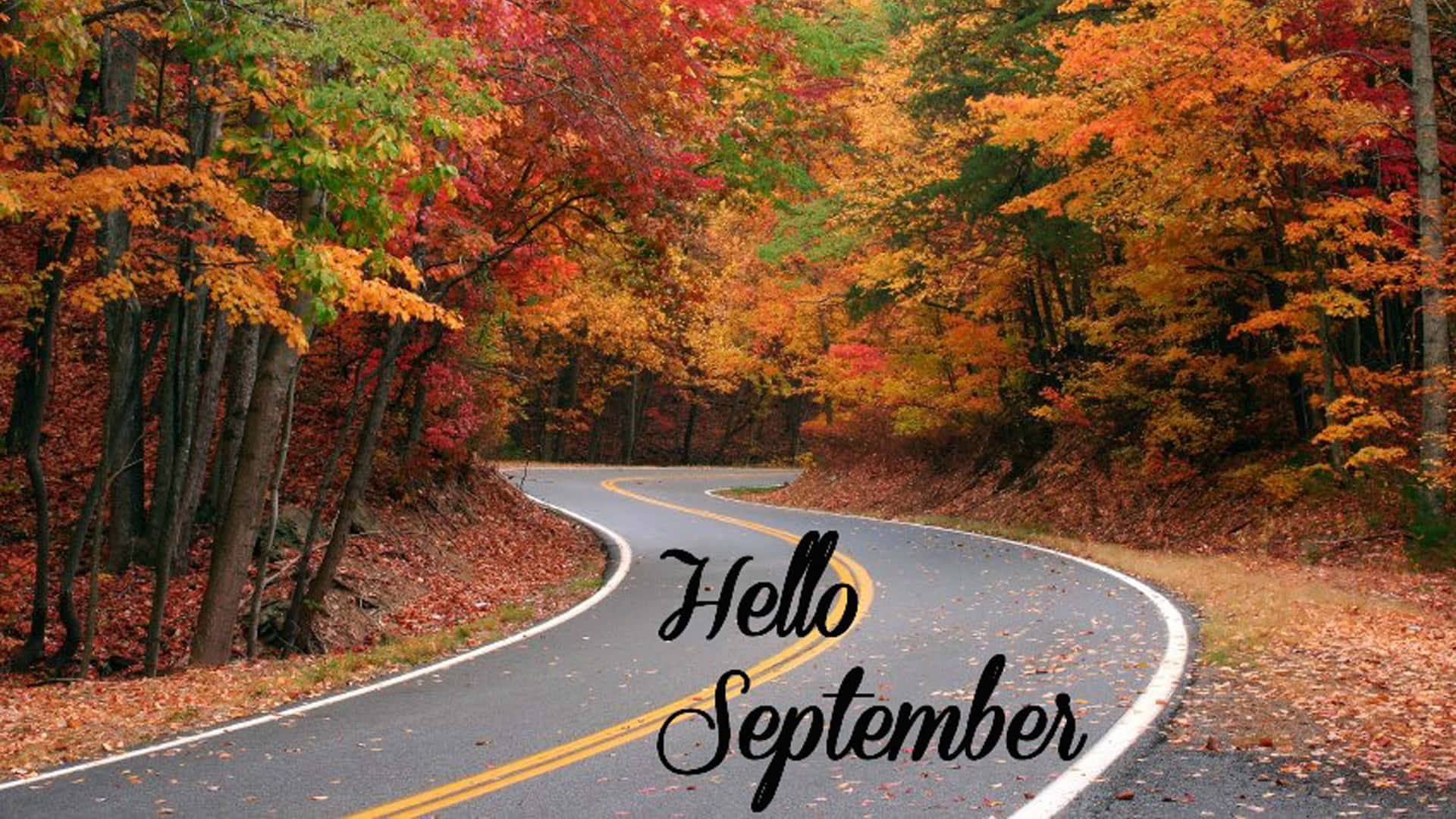 Autumn Road, September, winding road, Full HD Desktop Wallpaper