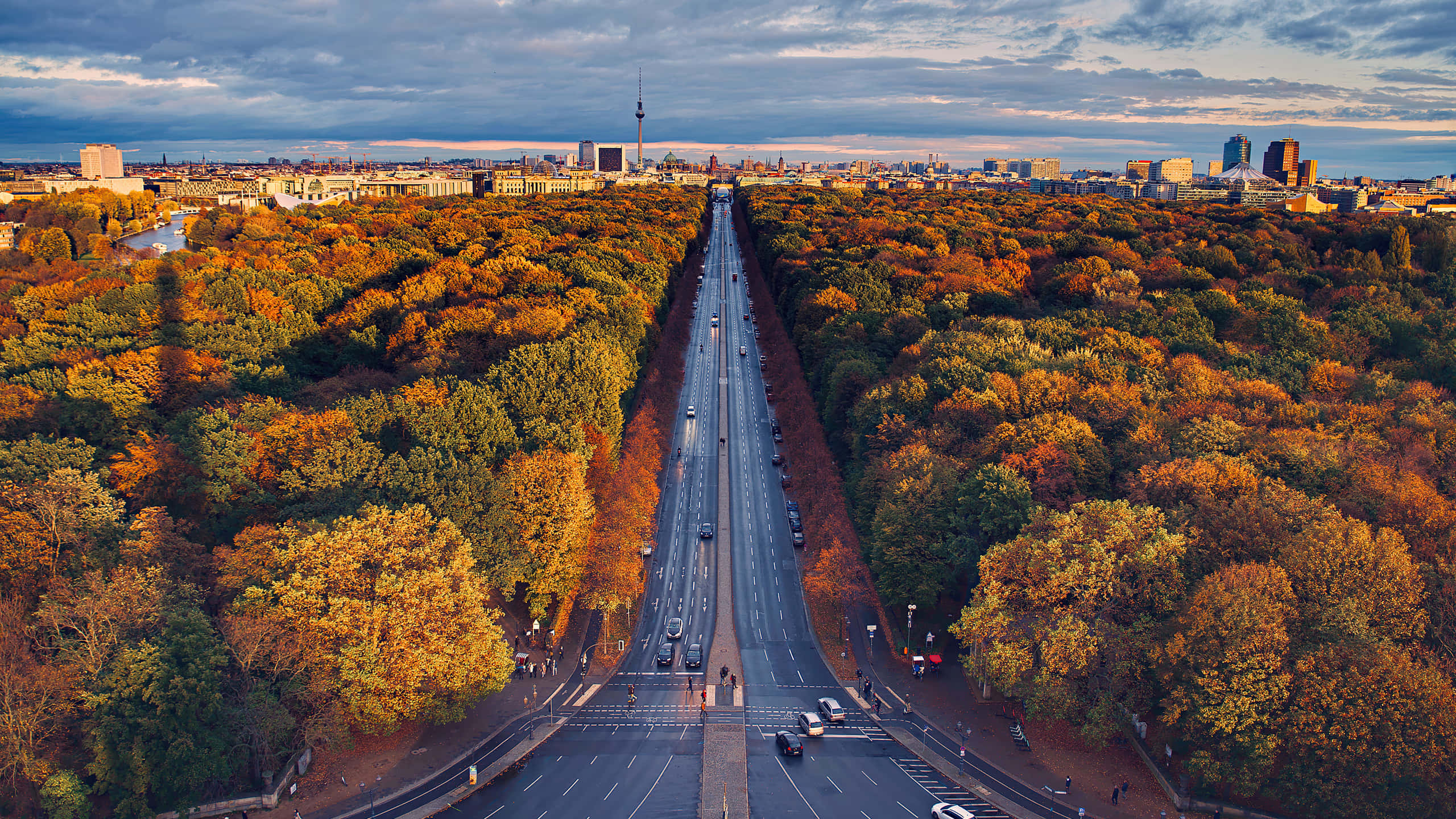 2560 x 1440, autumn forest, city skyline, 2K Desktop Wallpaper