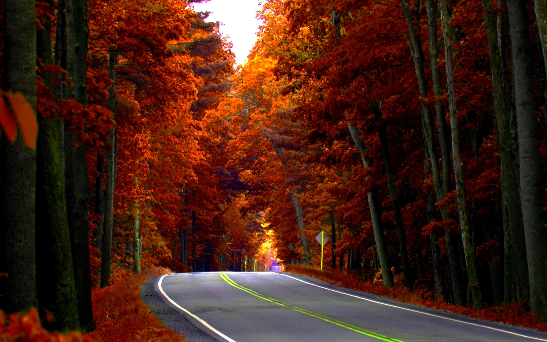 Highway, autumn season, winding road, Full HD Desktop Wallpaper