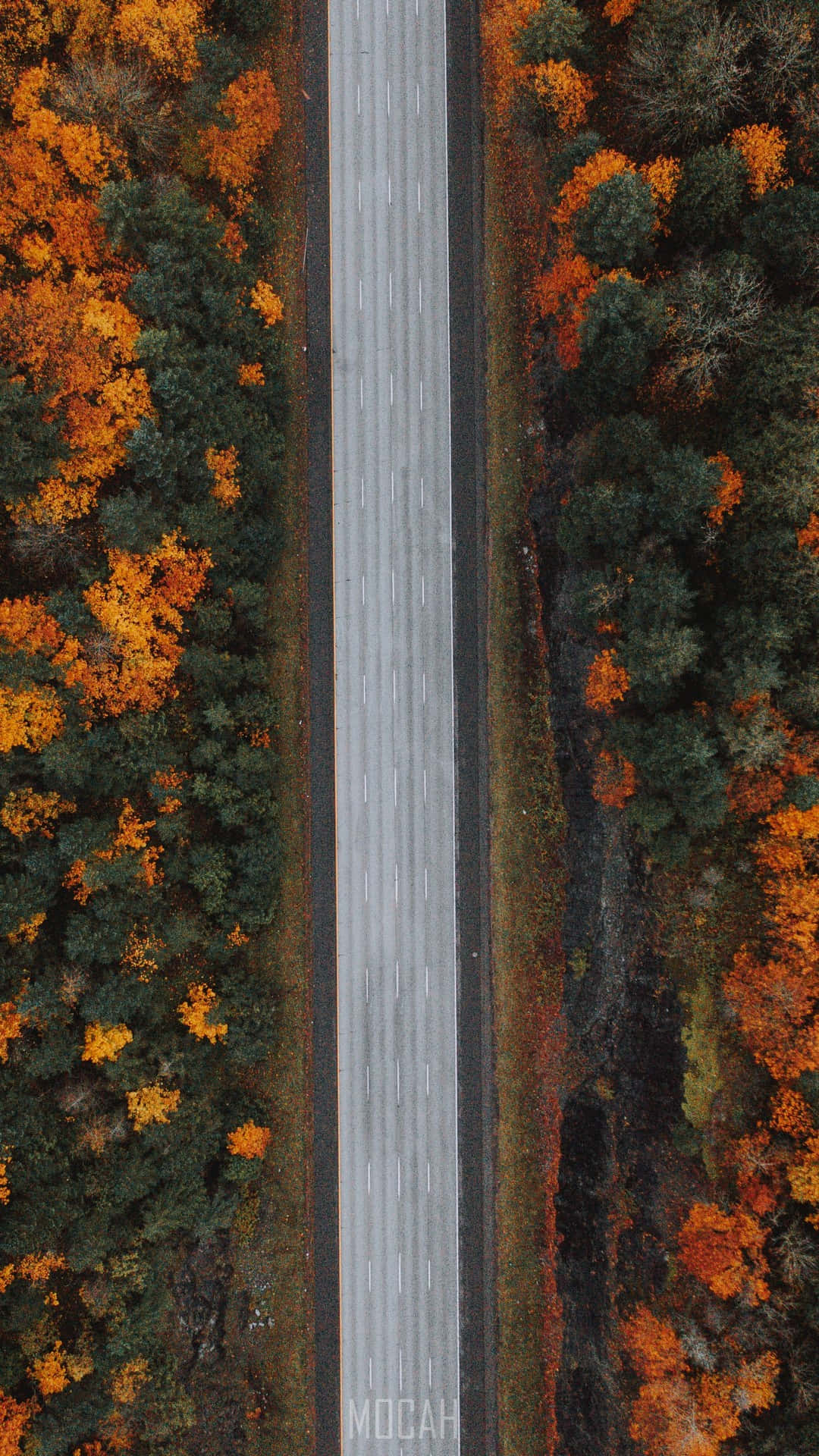 vintage aesthetic, fall, long road, Full HD Phone Wallpaper