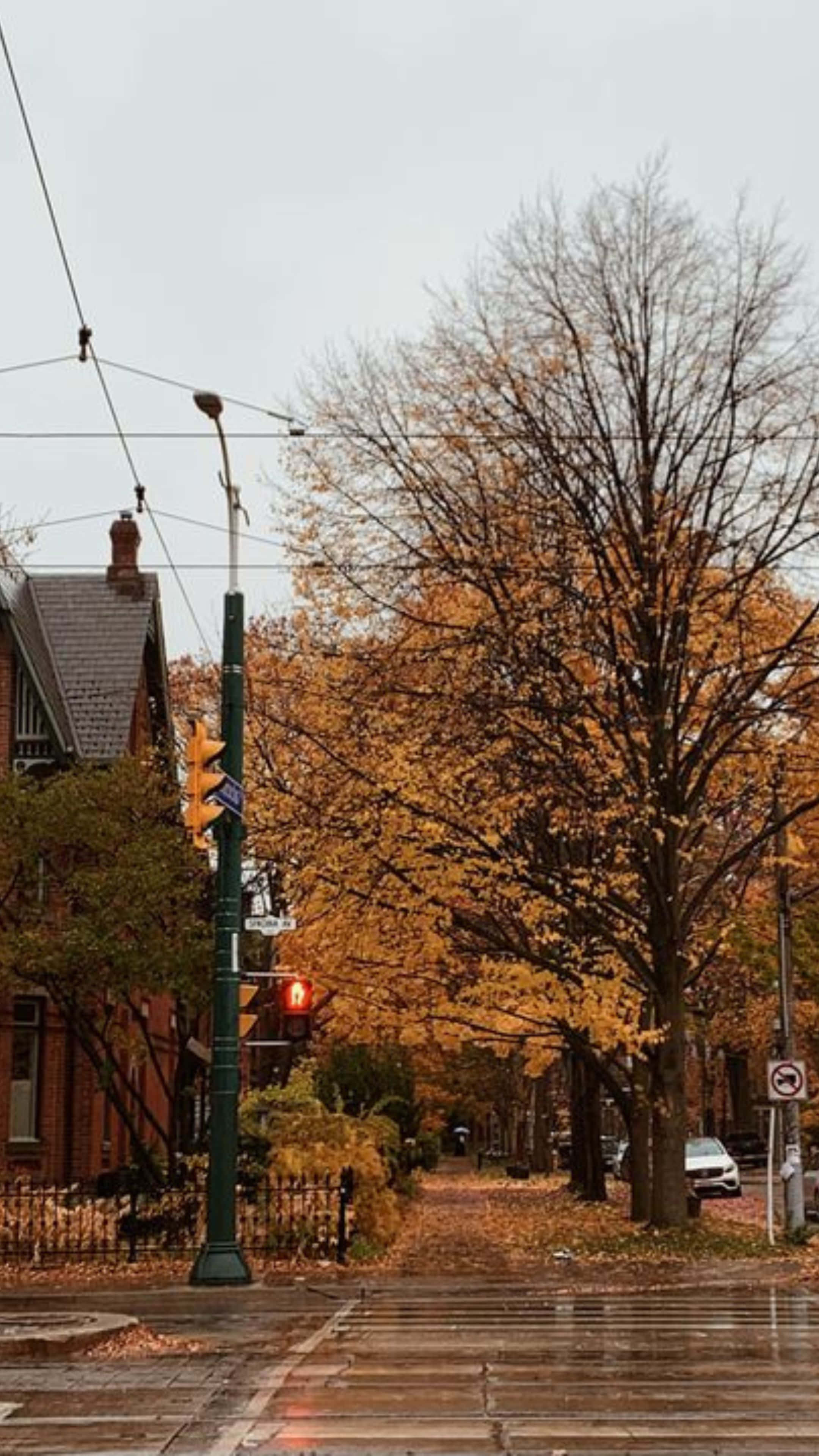 Autumn Street, traffic lights, golden autumn trees, 4K Phone Wallpaper