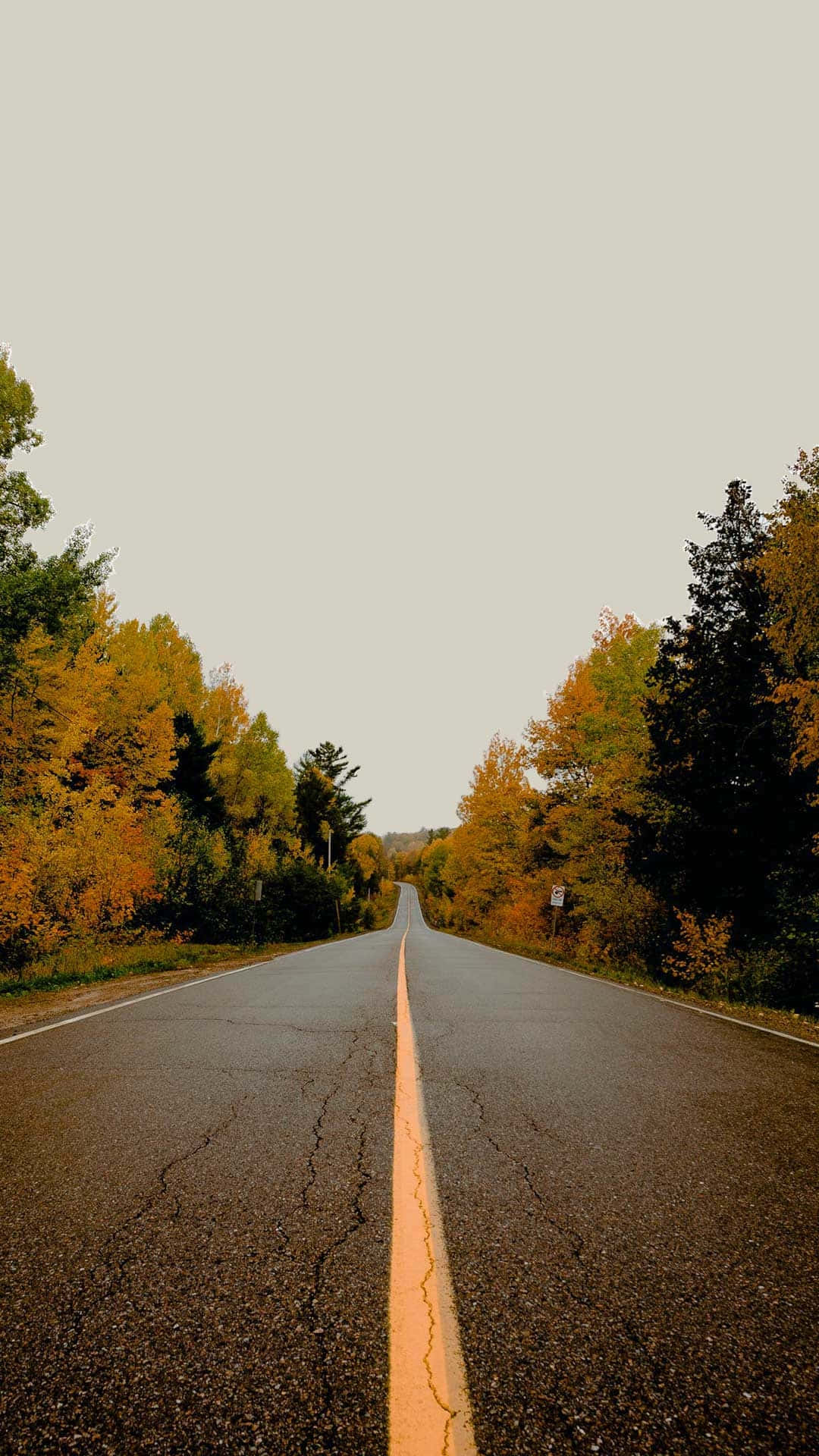 Autumn Road Serenity, cracked asphalt road, autumn trees, Full HD Phone Wallpaper