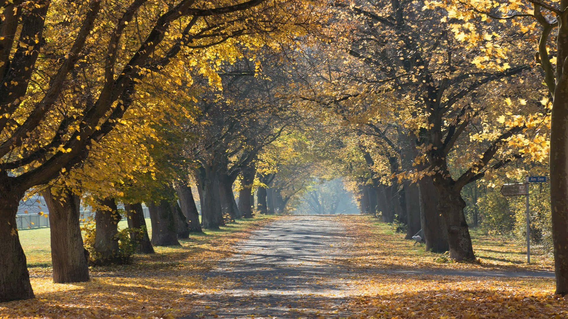 Autumnal Park Pathway, golden autumn trees, dappled shadows, Full HD Desktop Wallpaper