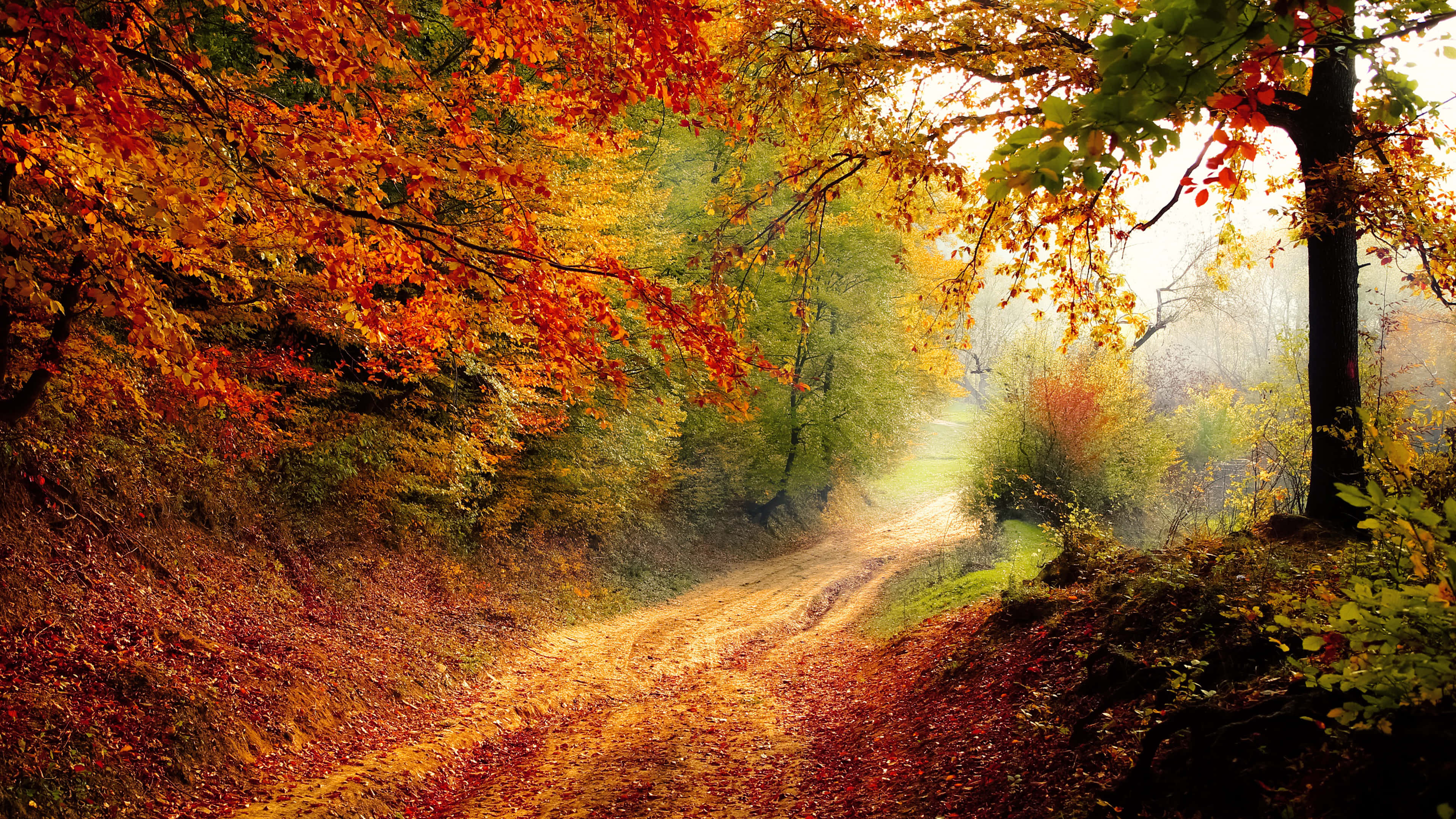 3840 x 2160, autumn, winding dirt path, 4K Desktop Wallpaper