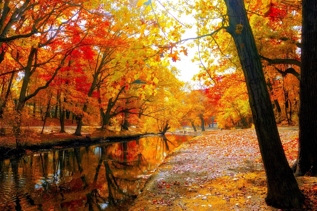 Autumn Wind
