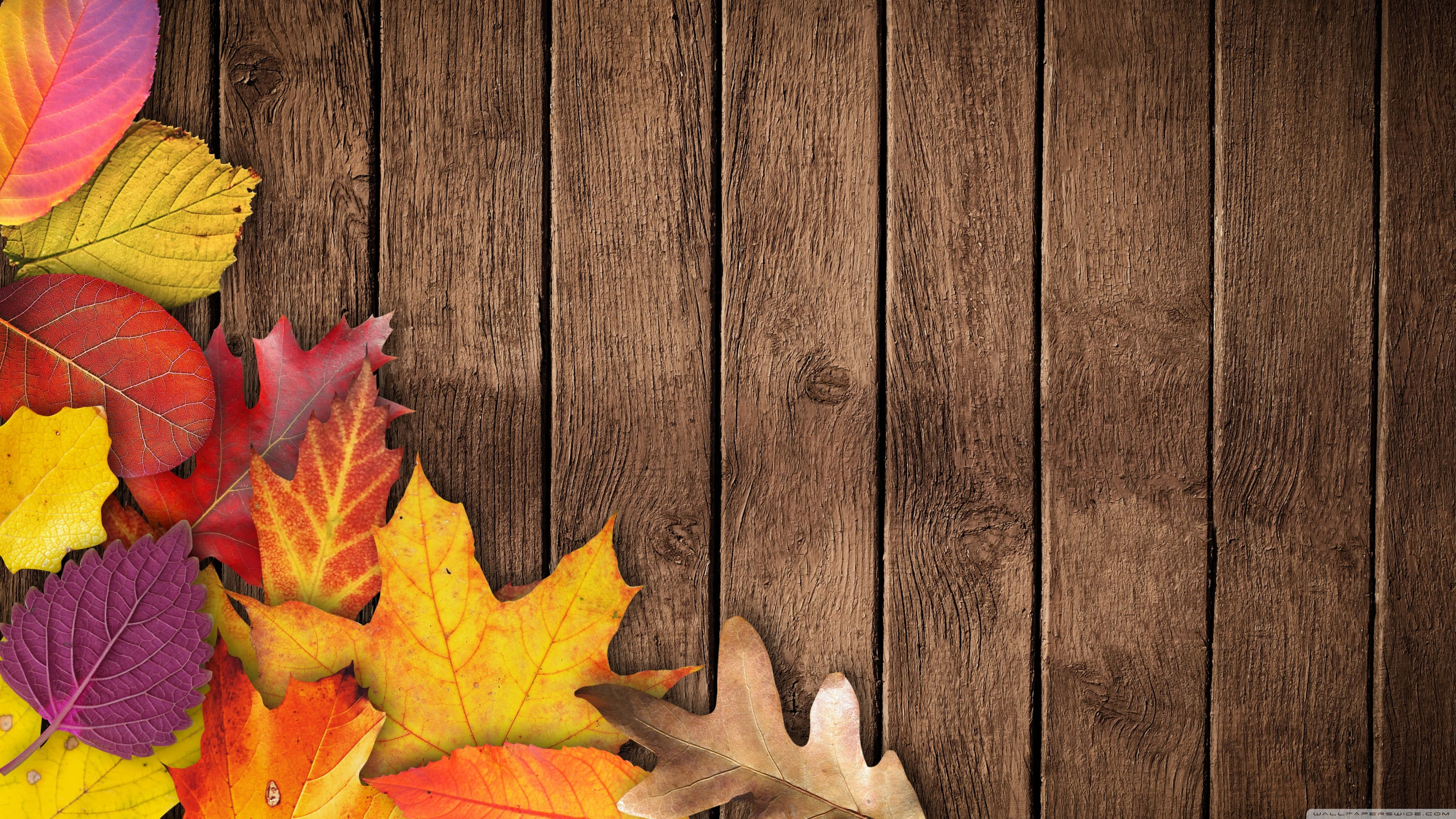 3840 x 2160, autumn, red, 4K Desktop Wallpaper