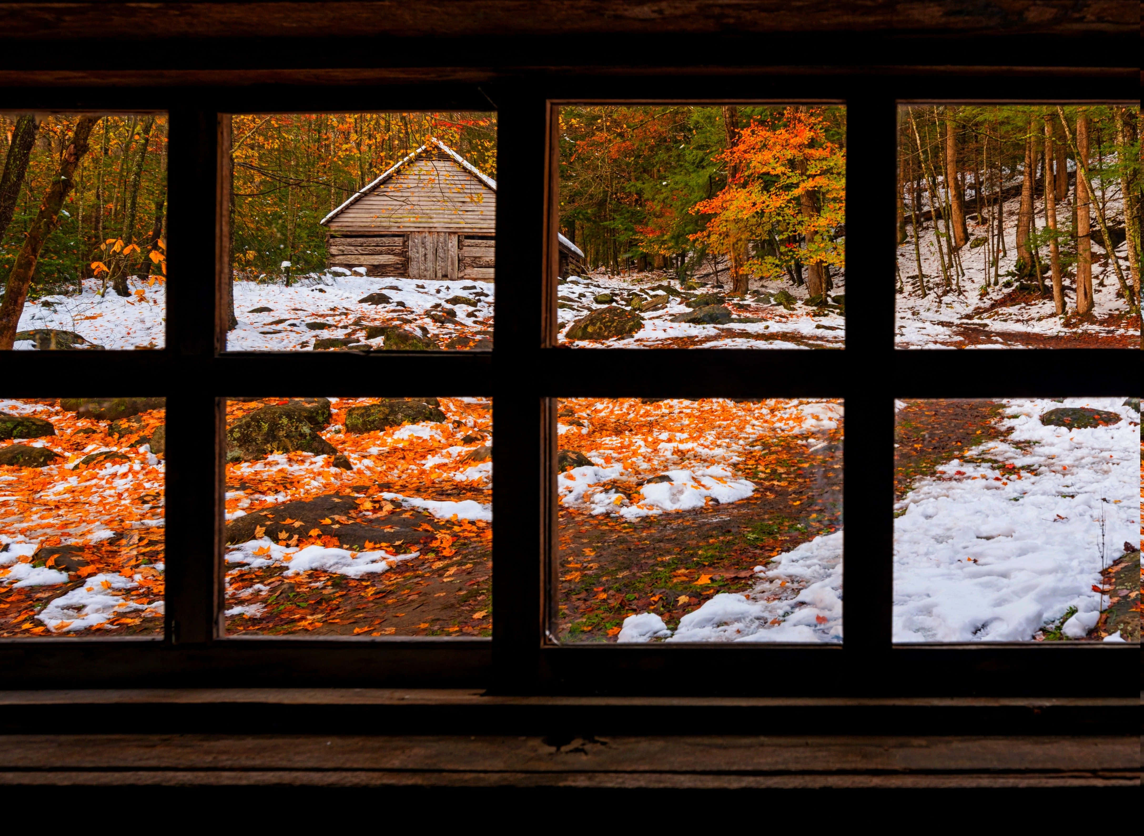 autumn wind, 4350 x 3180, rustic wooden cabin, 4K Desktop Wallpaper