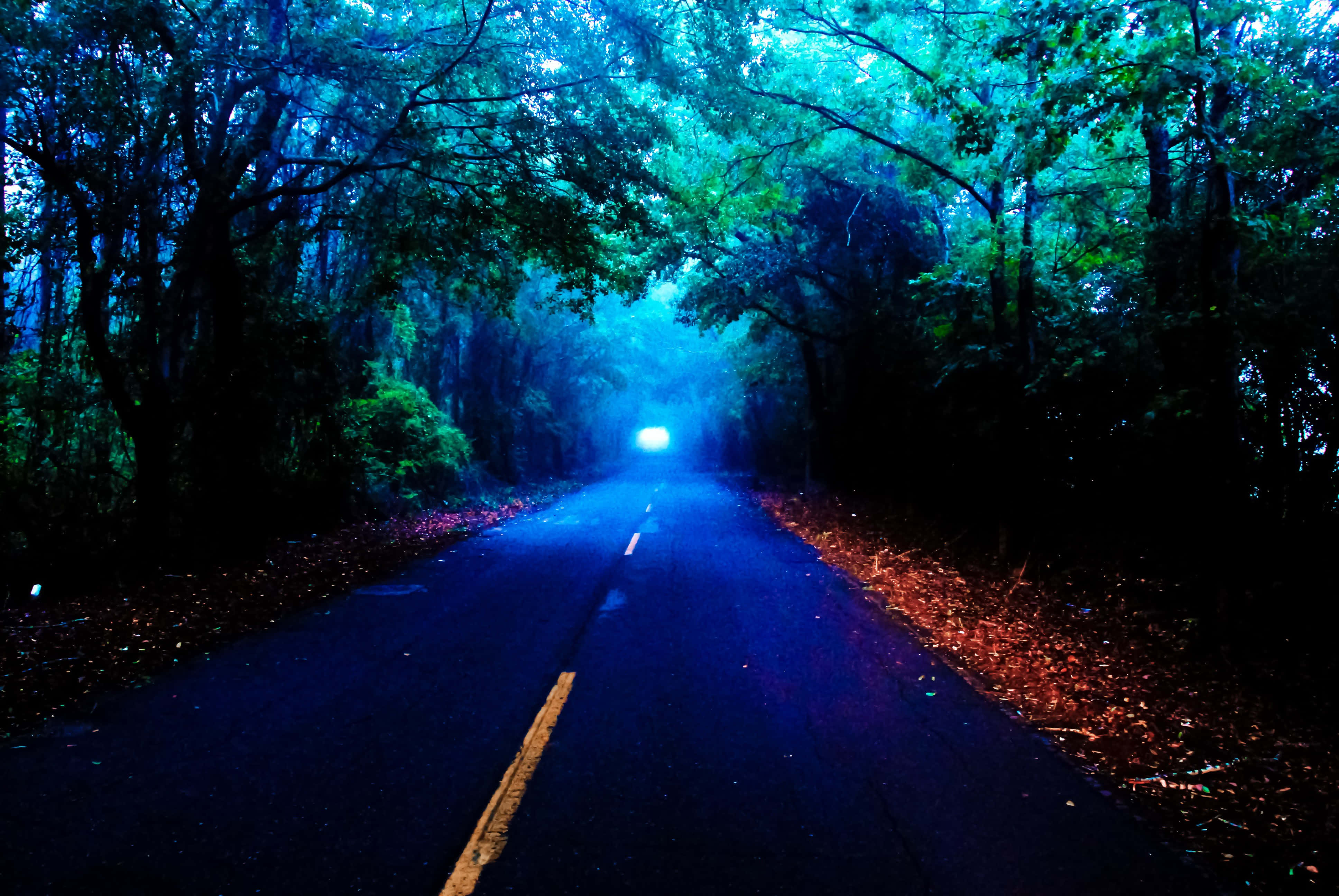 autumn evening, lake, dark forest road, 4K Desktop Wallpaper