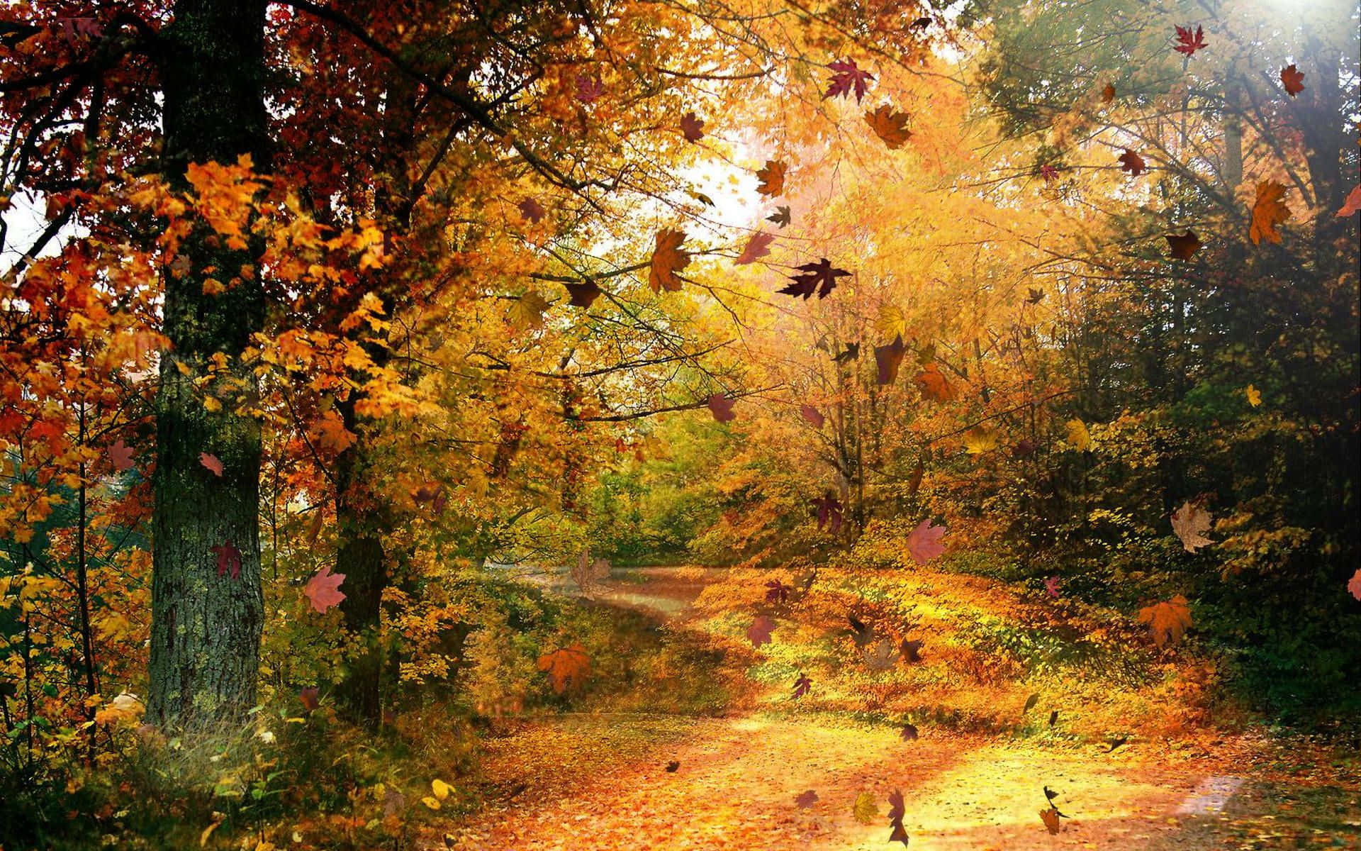 Autumn Wind, golden leaves, falling foliage, Full HD Desktop Wallpaper