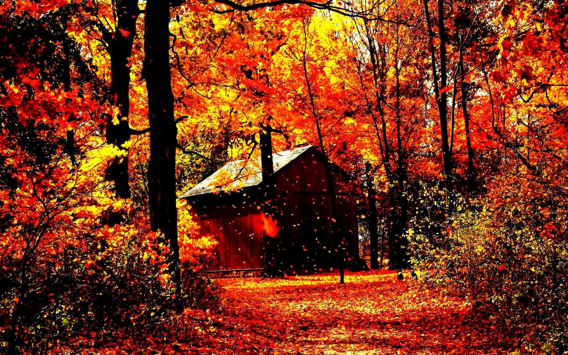 Autumn Wind, rustic cabin, forest, Full HD Desktop Wallpaper
