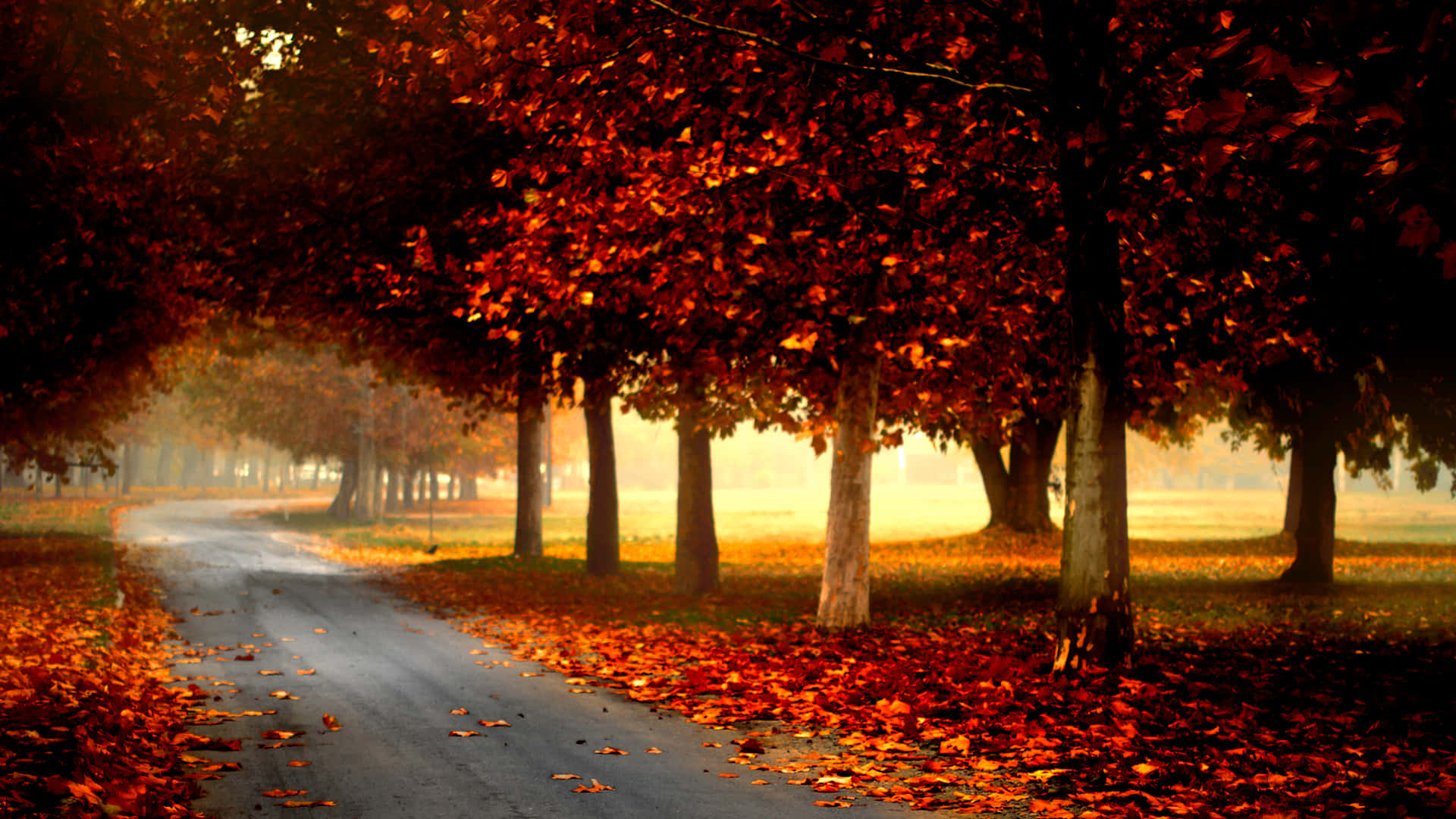 Autumn Wind, fiery red, orange, Full HD Desktop Wallpaper