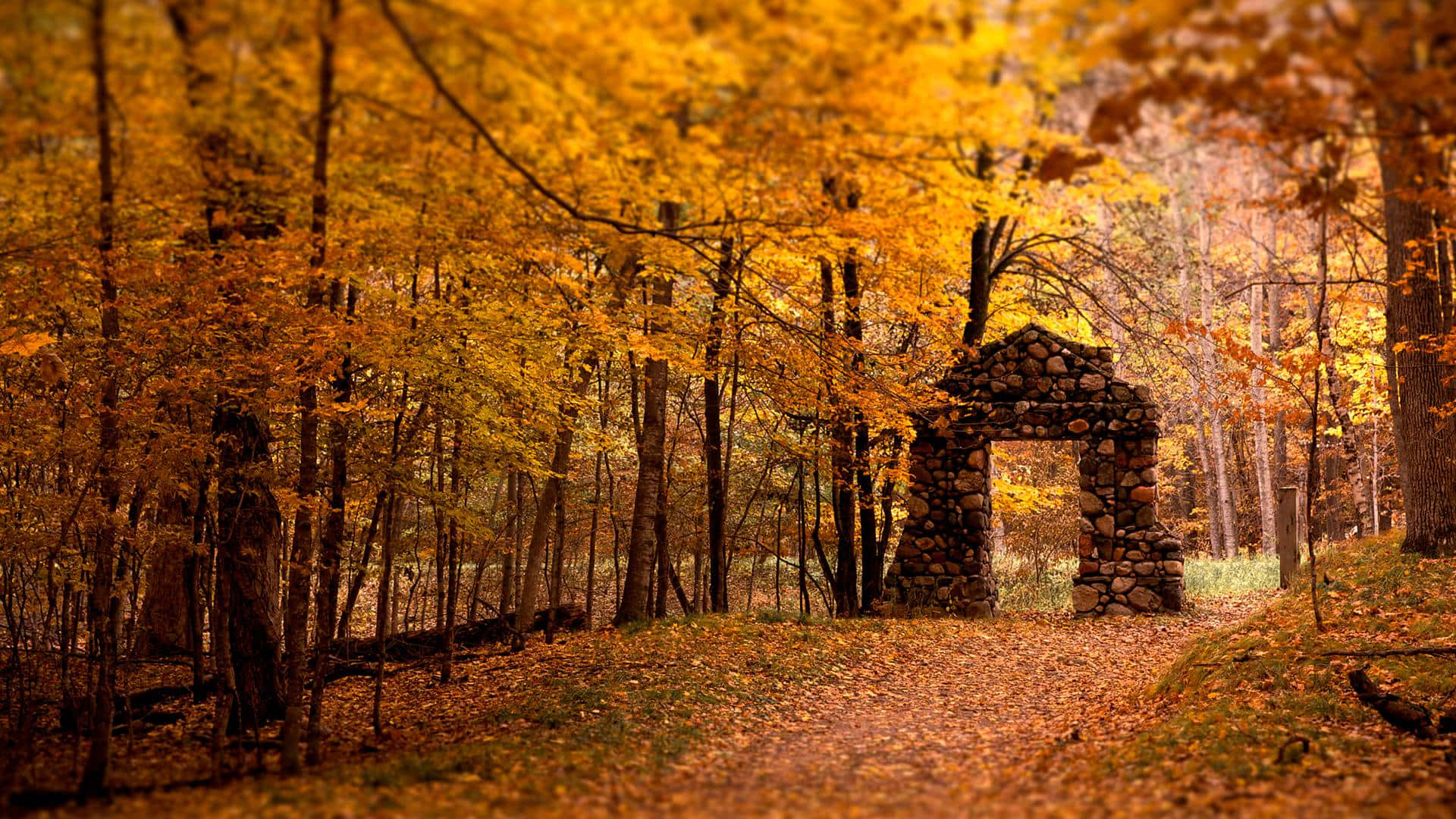 Autumn Wind, stone archway, forest, Full HD Desktop Wallpaper