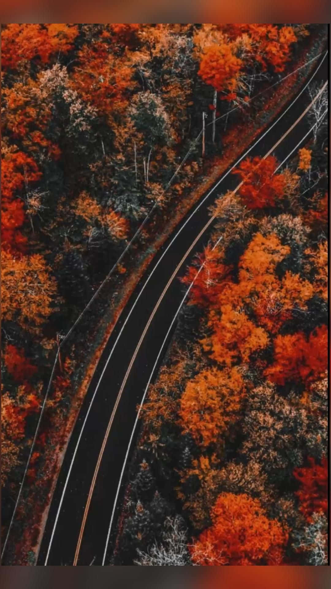 autumn road, aerial view, winding road, Full HD Phone Wallpaper