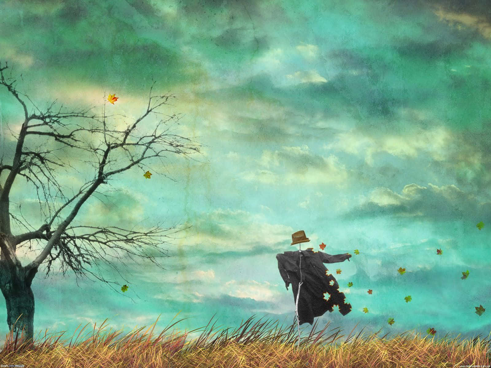 Autumn Wind, teal sky, bare tree, HD Desktop Wallpaper