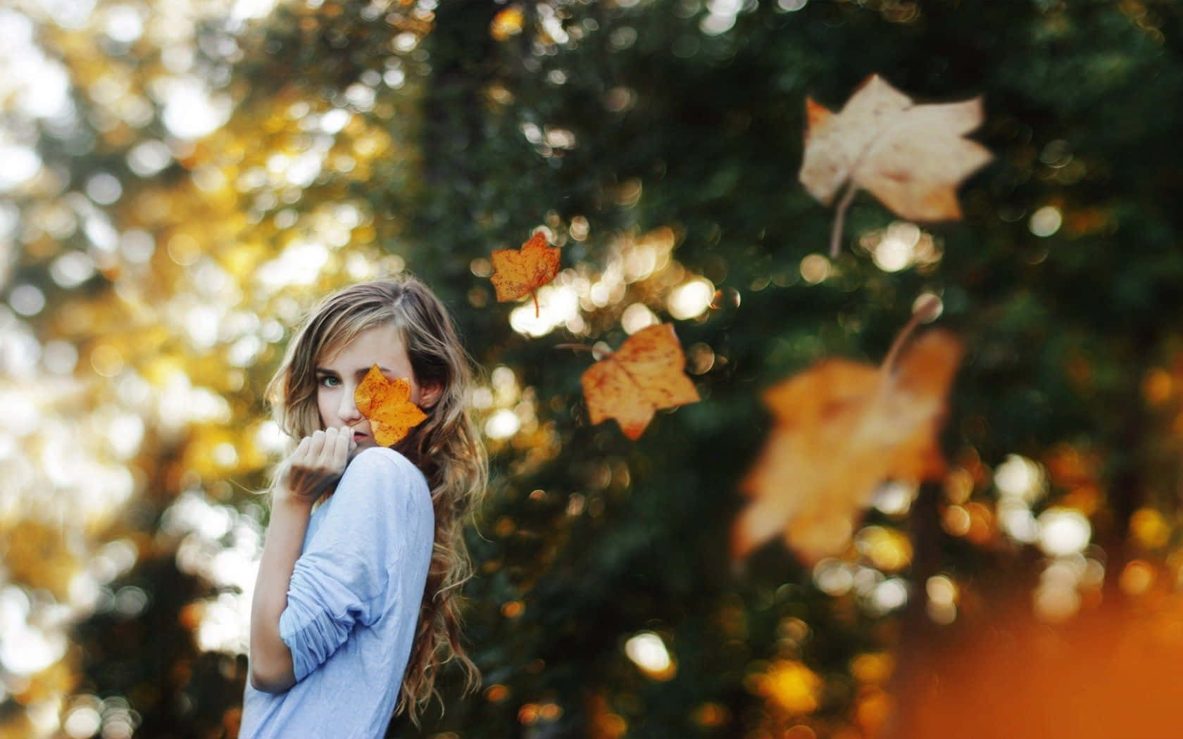 Autumn Wind, blue shirt, autumn leaf, HD Desktop Wallpaper