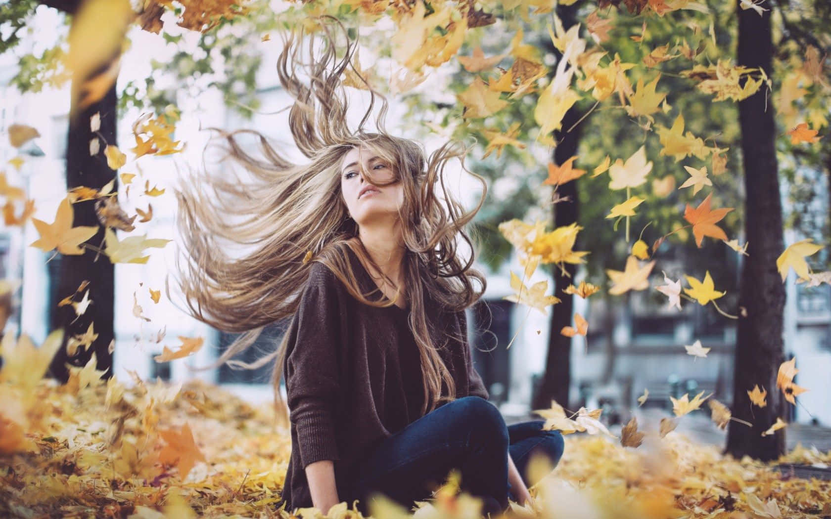 Autumn Wind, golden autumn leaves, sunlit park, HD Desktop Wallpaper