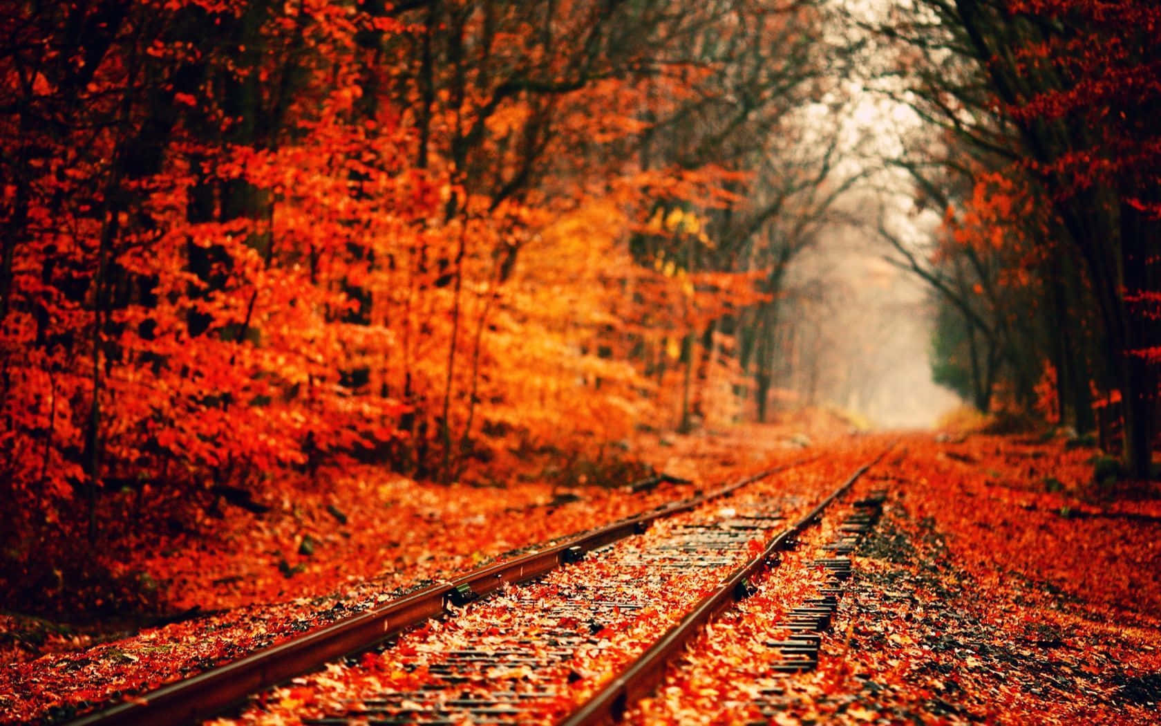 Autumn Wind, 1680 x 1050, railway track, HD Desktop Wallpaper