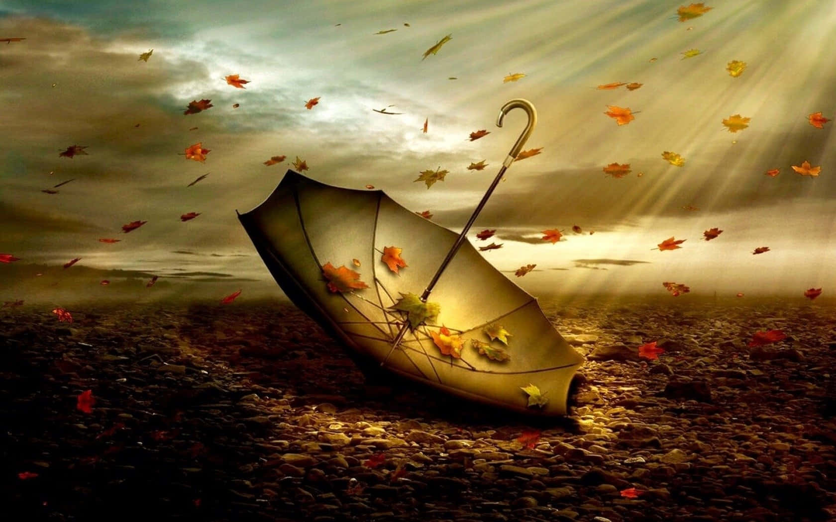 Autumn Wind, 1680 x 1050, broken umbrella, HD Desktop Wallpaper