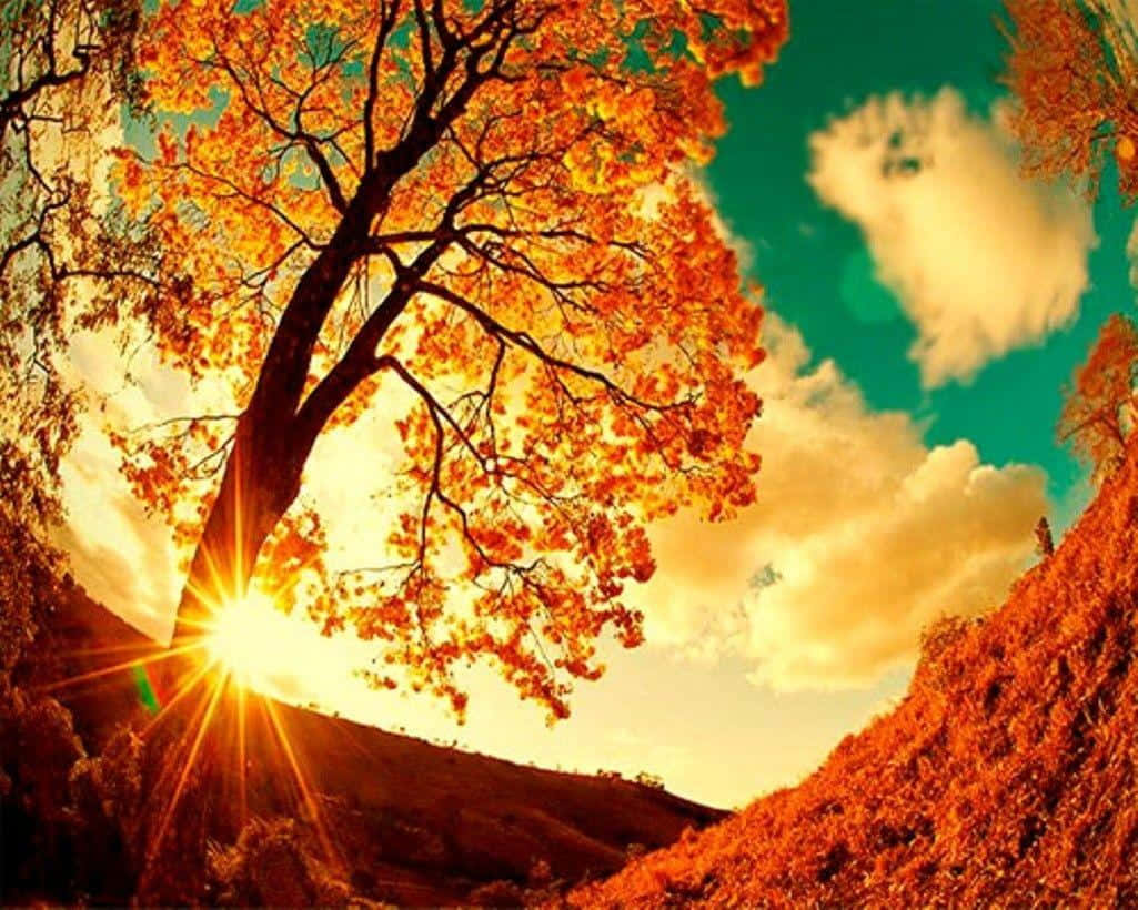 first day of fall, autumn trees, lake, SD Desktop Wallpaper