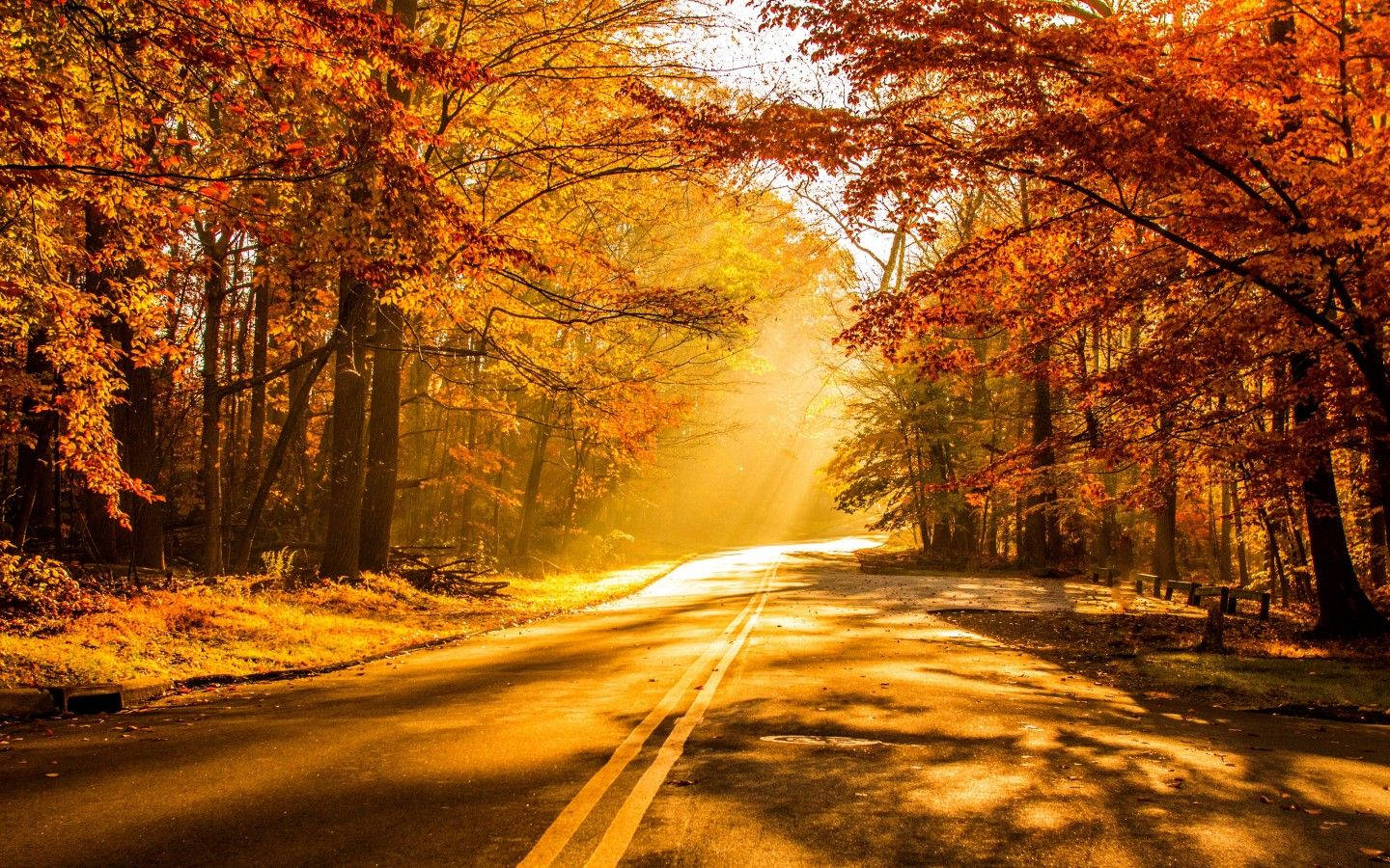 Autumn, country road, sunset, HD Desktop Wallpaper