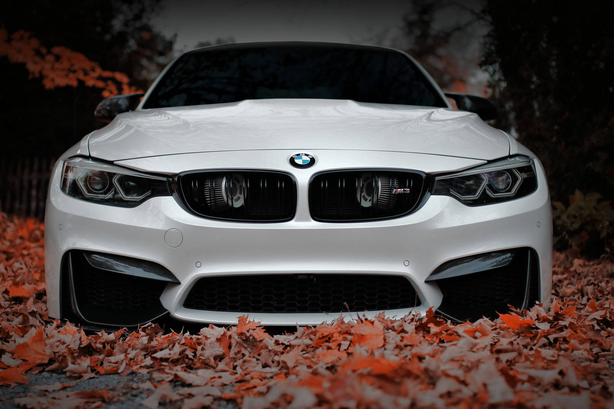 white BMW M4, autumn leaves, vibrant orange, Full HD Desktop Wallpaper