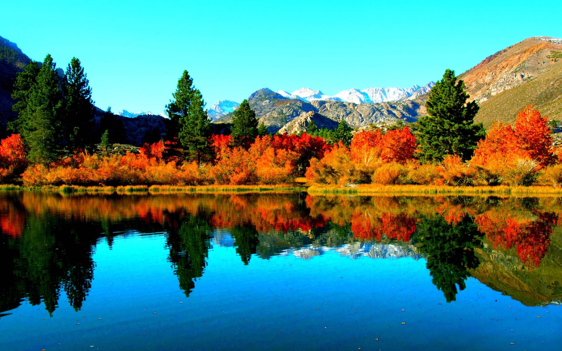 autumn landscape, lake, colorful trees, Full HD Desktop Wallpaper