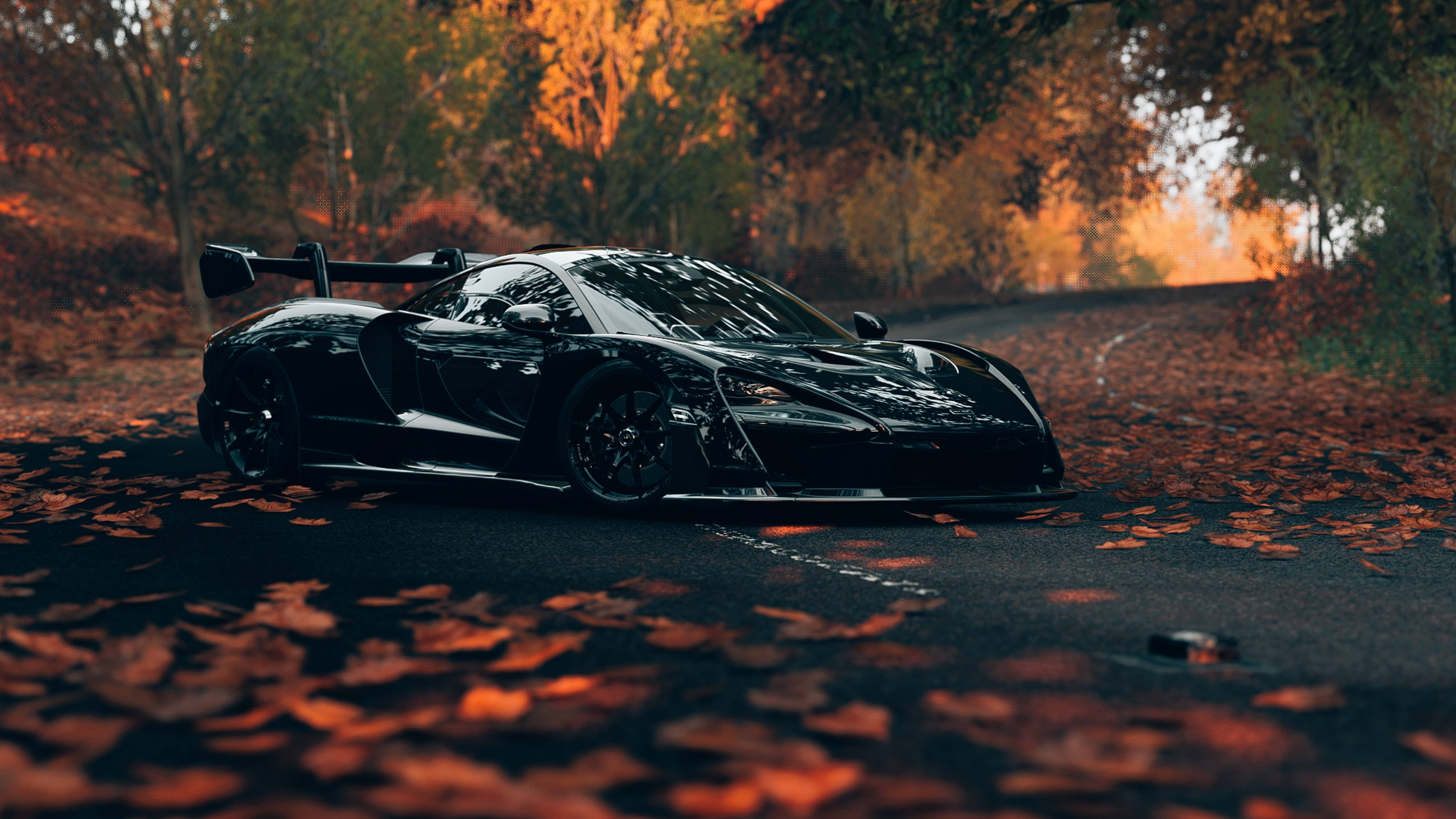 black sports car, leaf-strewn road, autumn trees, 2K Desktop Wallpaper