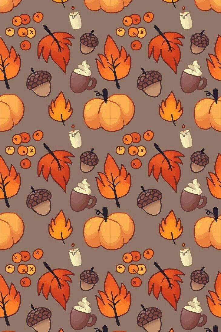 Thanksgiving, pumpkins, acorns, SD Phone Wallpaper