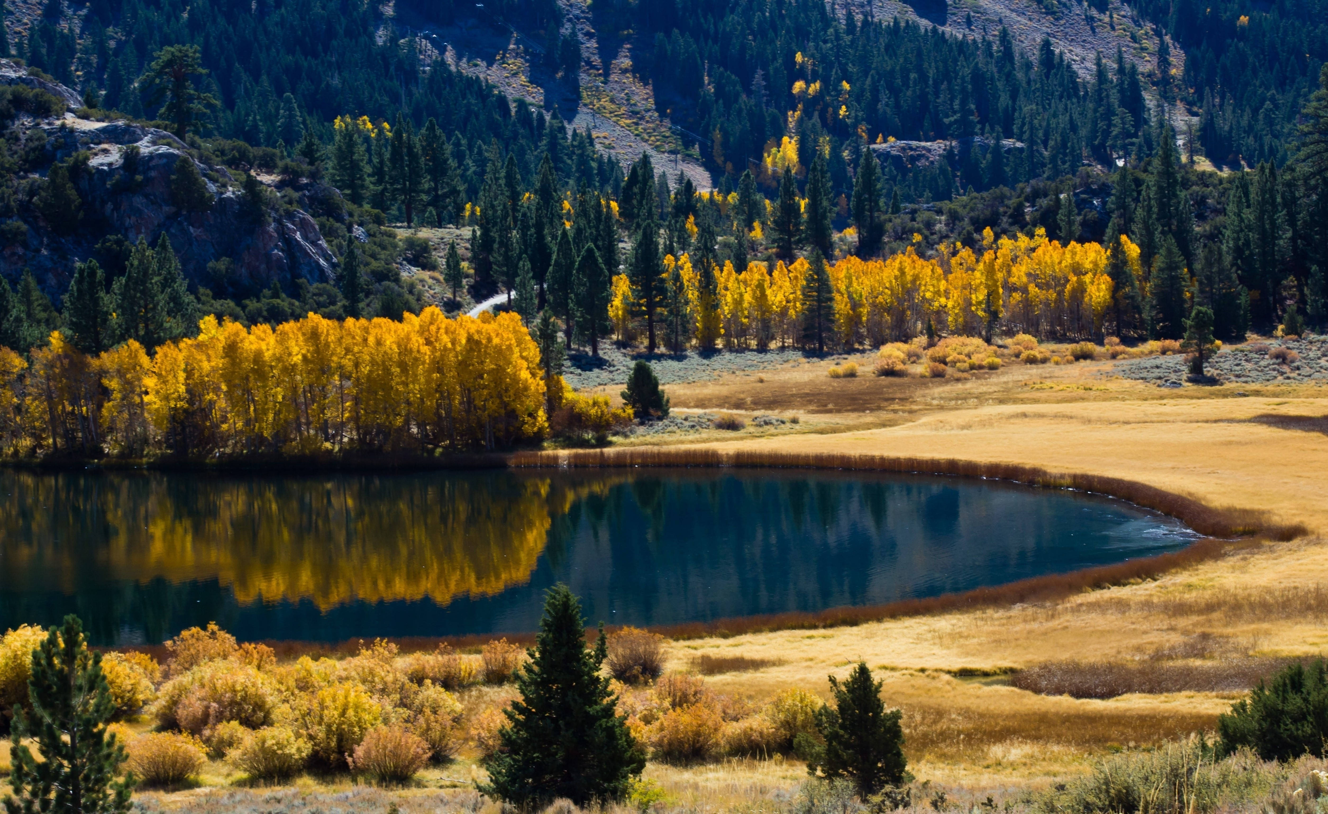 Autumn, mountain lake, golden aspen trees, 4K Desktop Wallpaper
