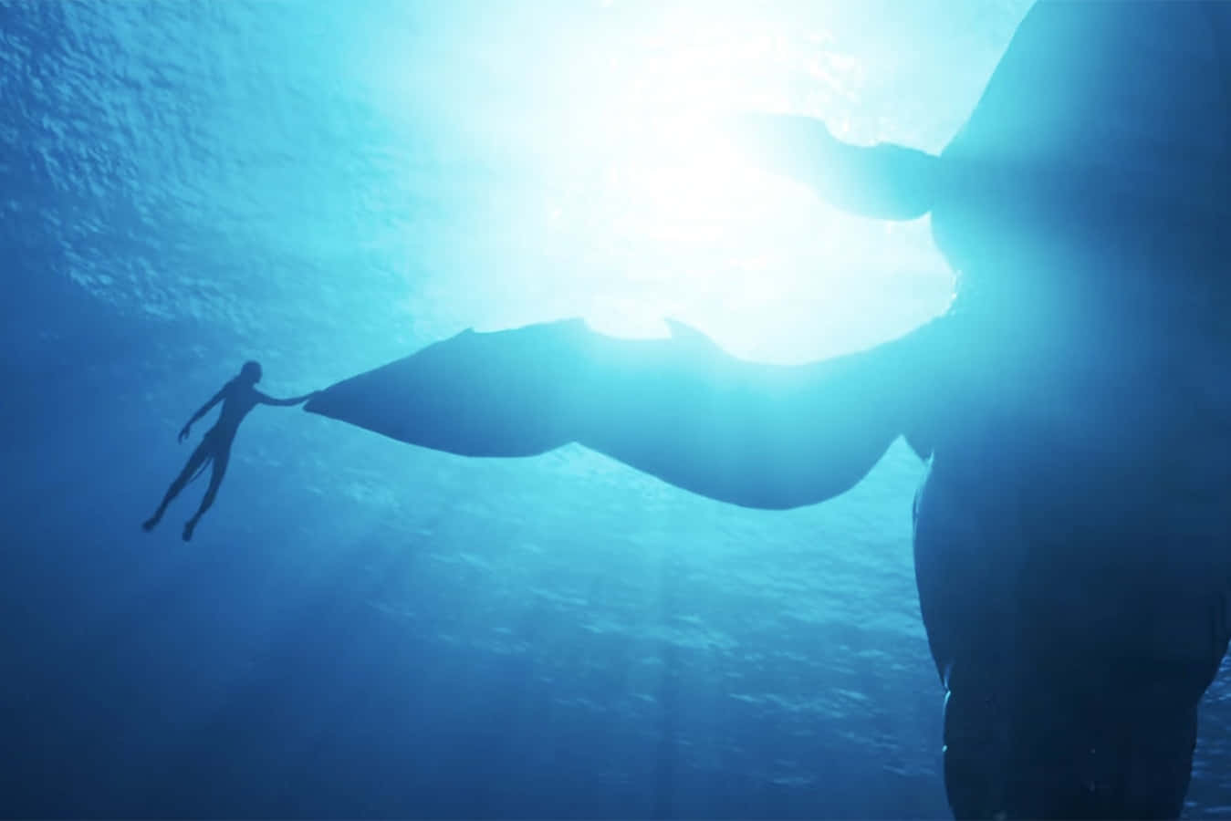 Avatar 2 The Way Of Water, whale shark, sunlit ocean surface, HD Desktop Wallpaper