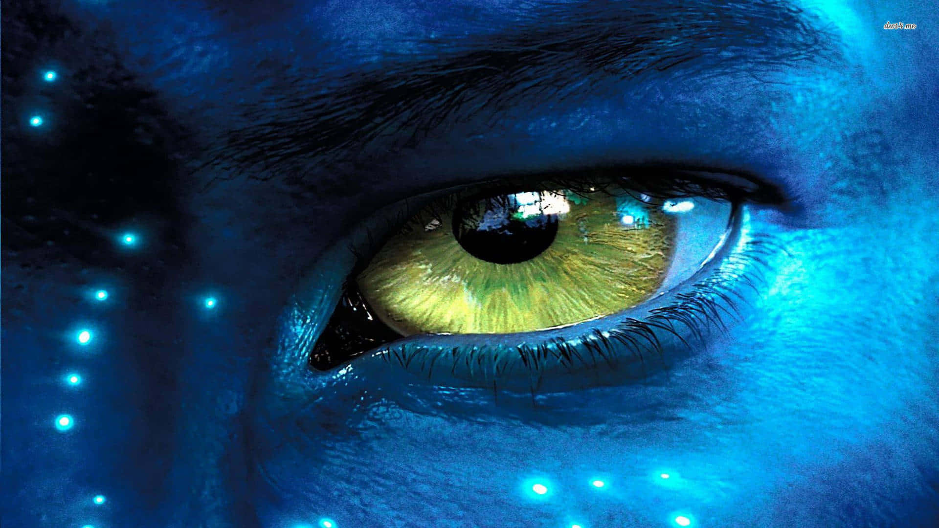 Avatar Pandora, blue-skinned alien, glowing yellow iris, Full HD Desktop Wallpaper