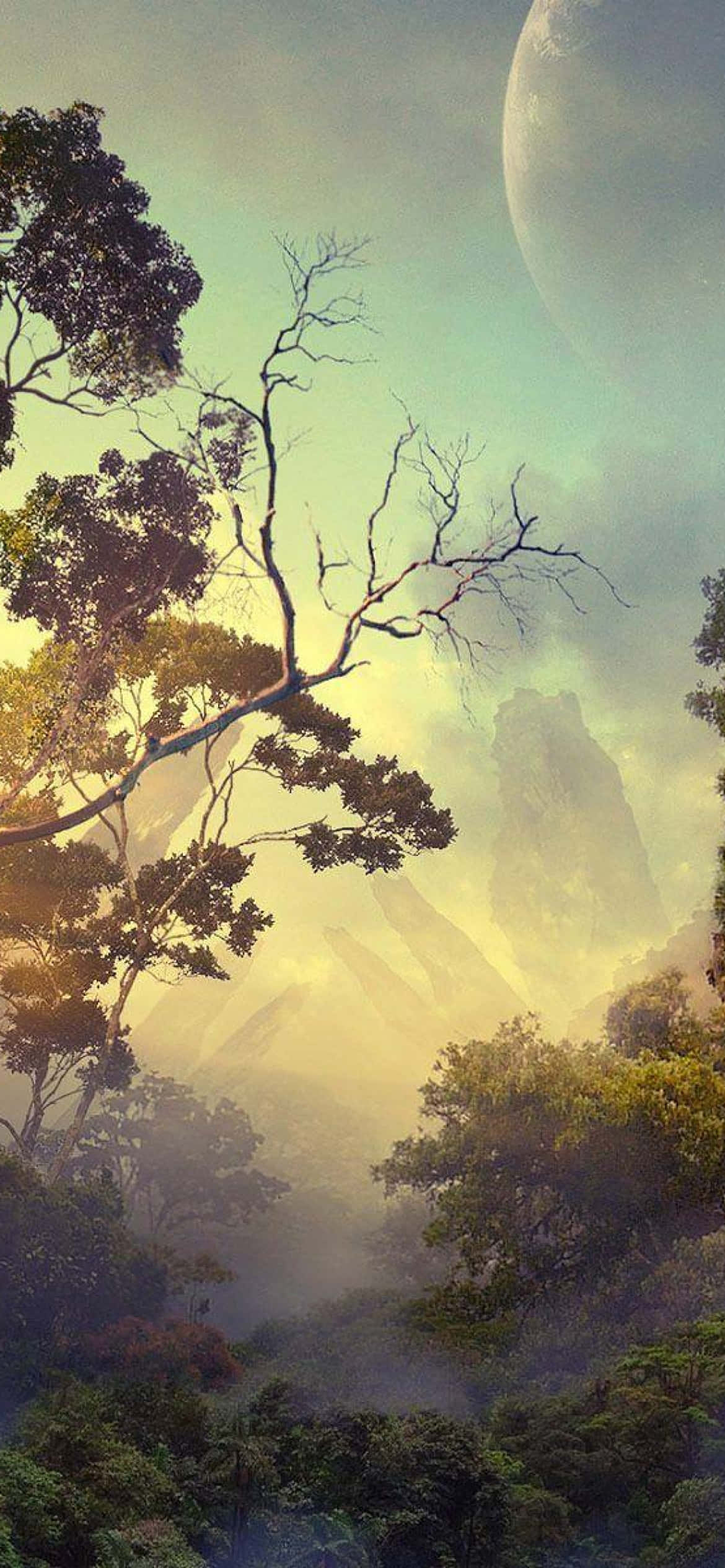 Avatar Pandora, forest, golden dawn light, Full HD Phone Wallpaper