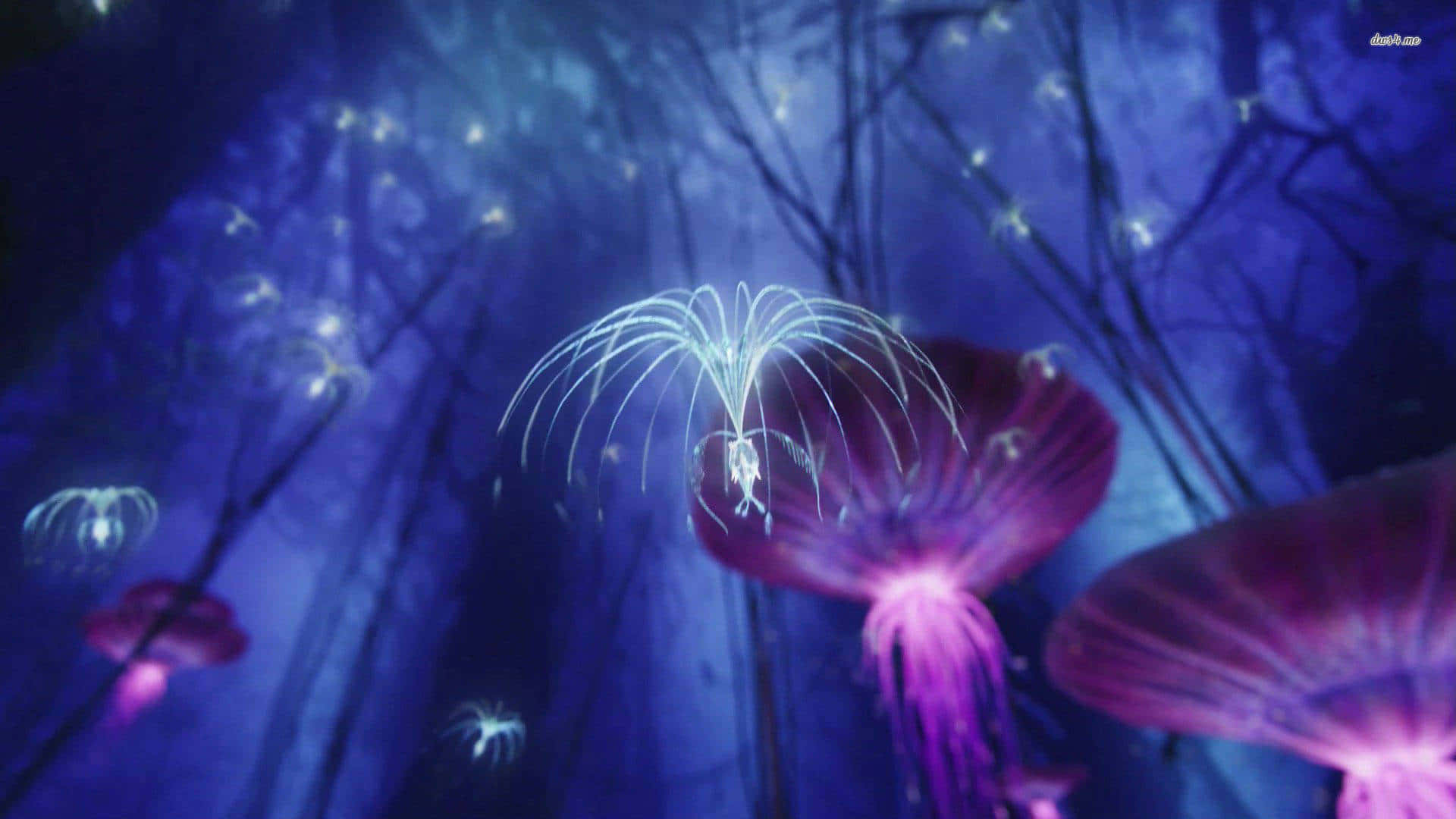 Avatar Pandora, purple flying jellyfish, dark blue underwater forest, Full HD Desktop Wallpaper